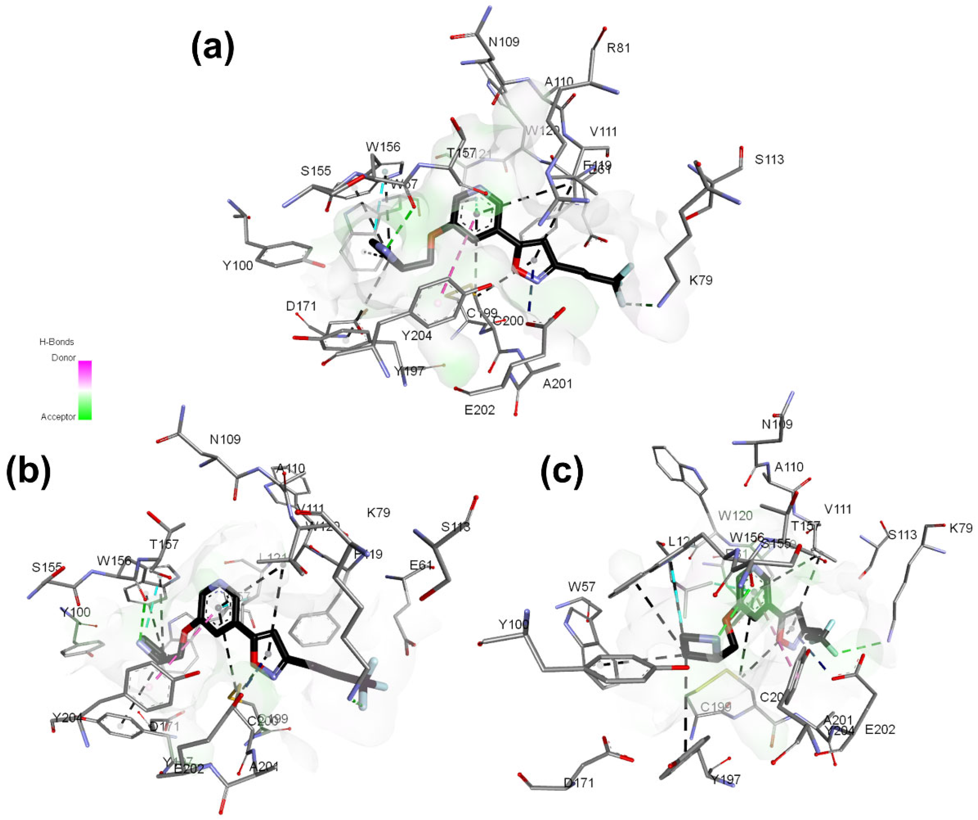 Molecules 27 08236 g006