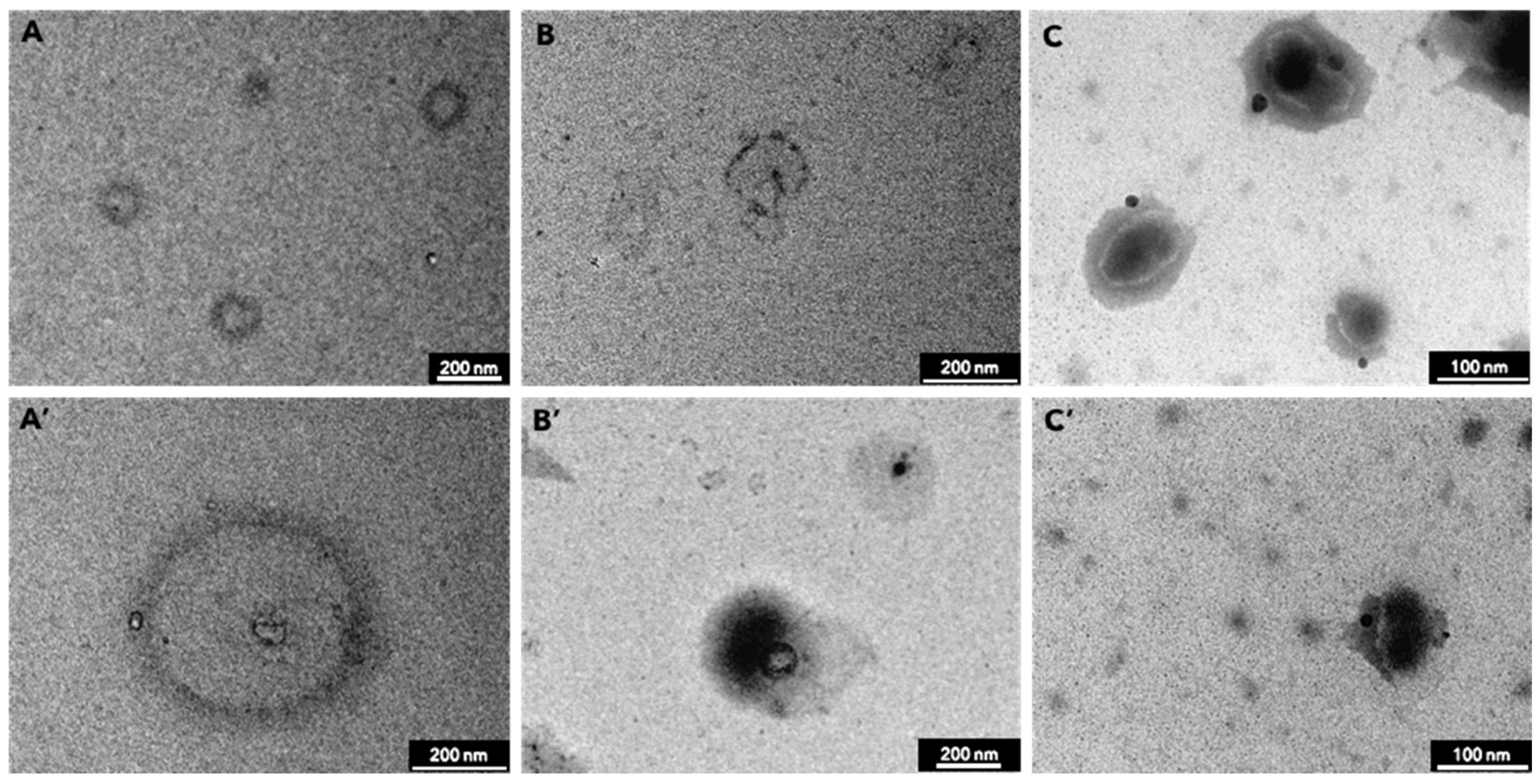 Molecules 27 08240 g003 Molecules 27 08240 g003