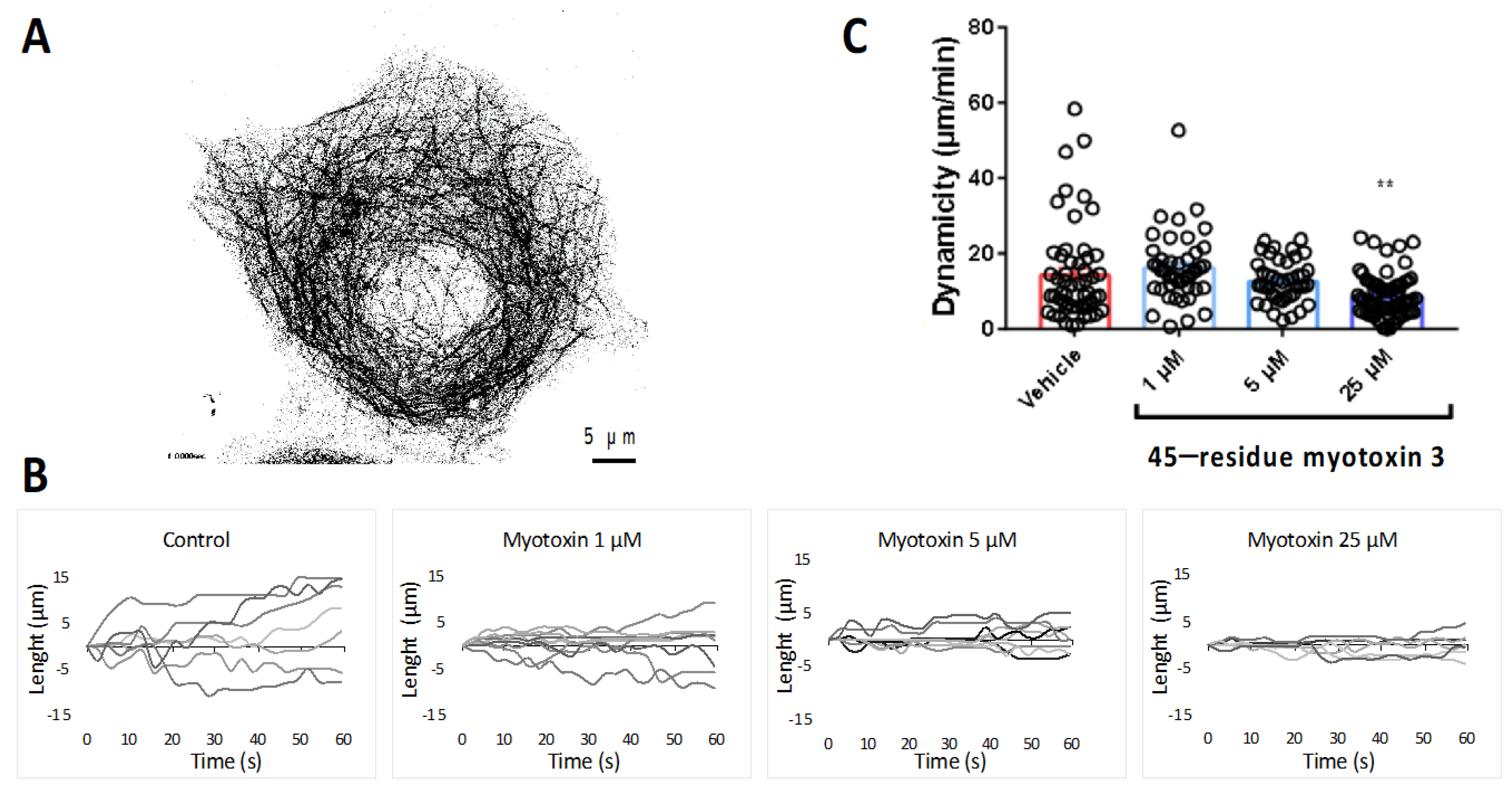 Molecules 27 08241 g008 Molecules 27 08241 g008