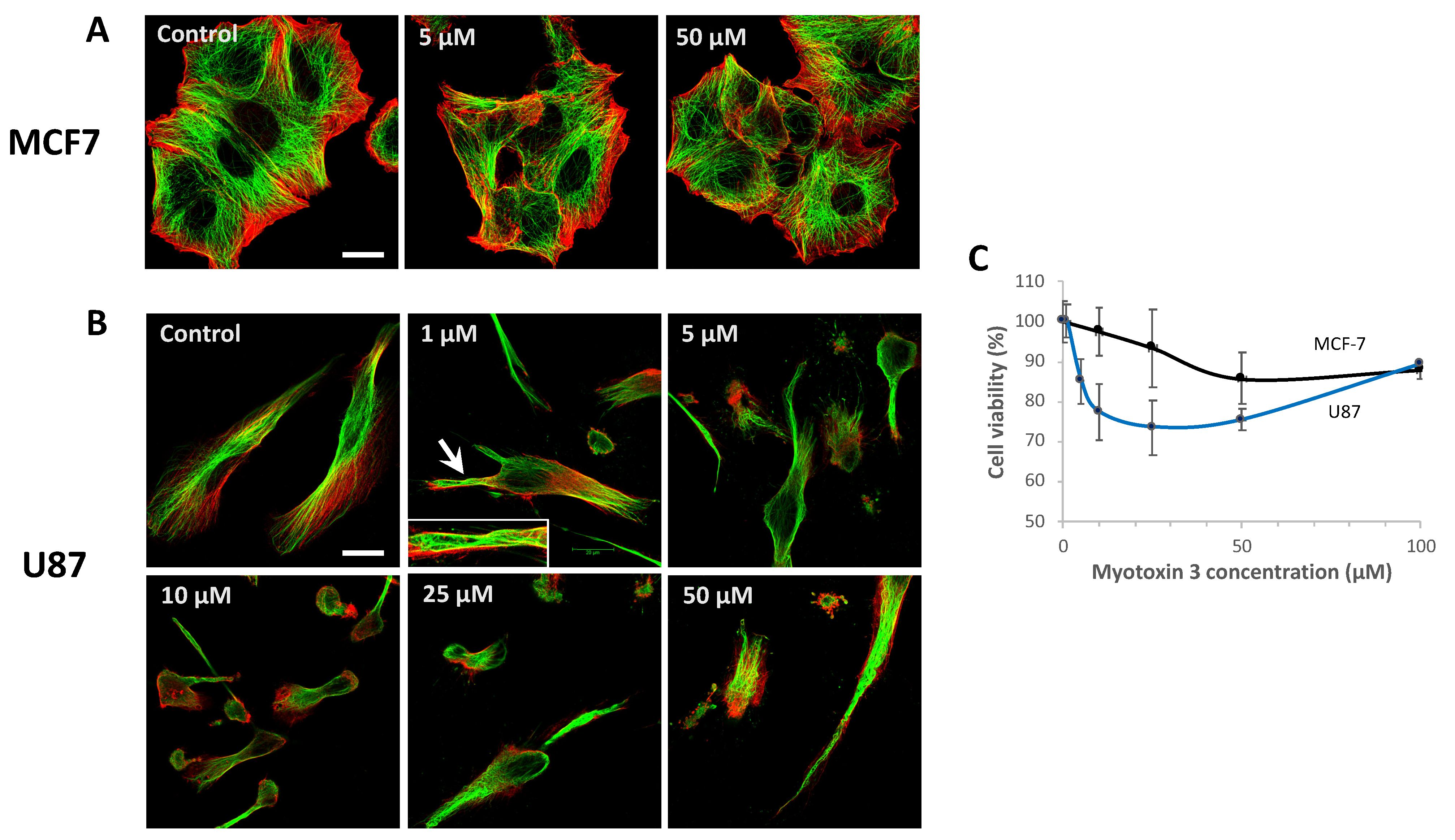 Molecules 27 08241 g009 Molecules 27 08241 g009