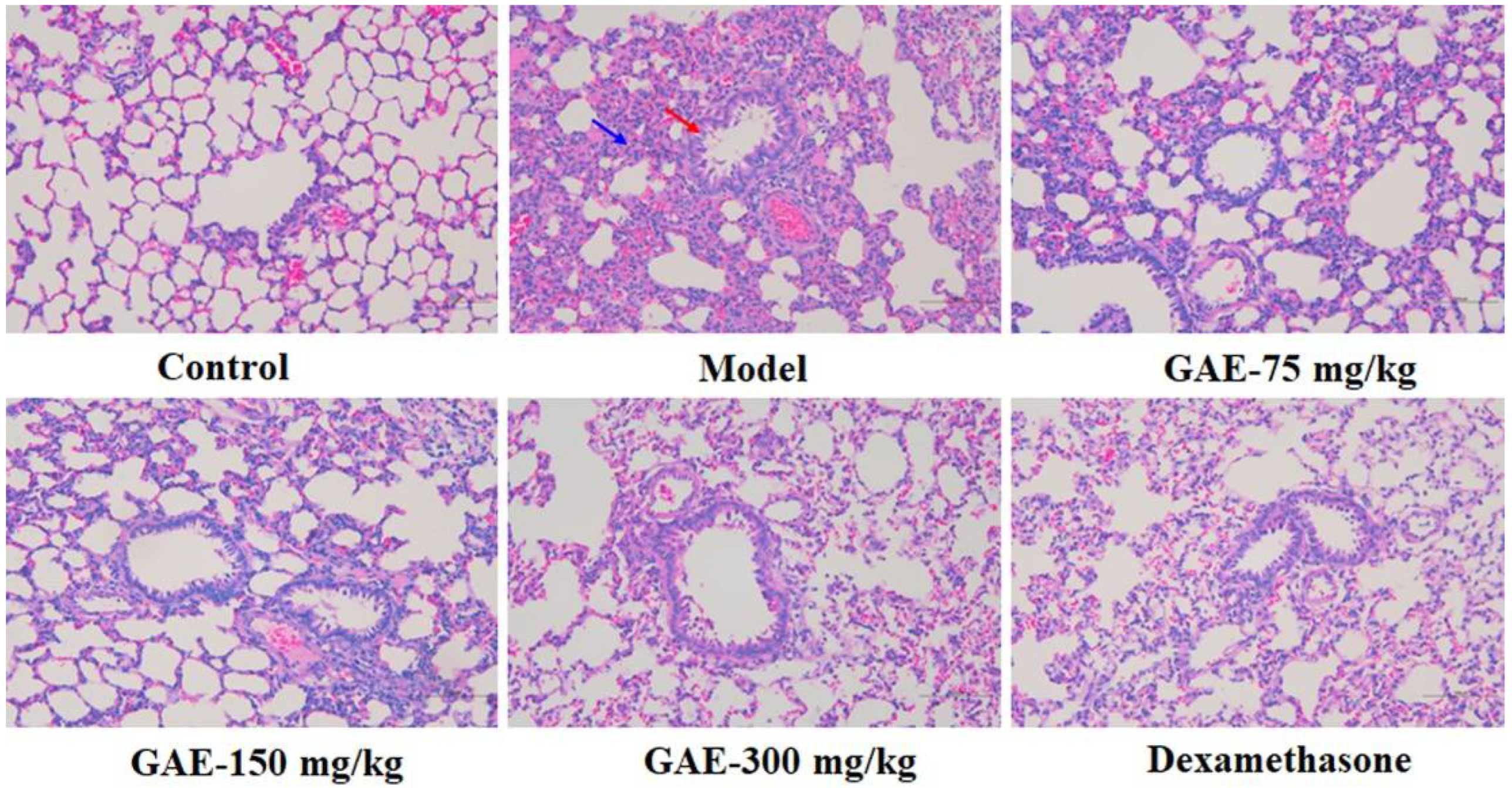 Molecules 27 08243 g001