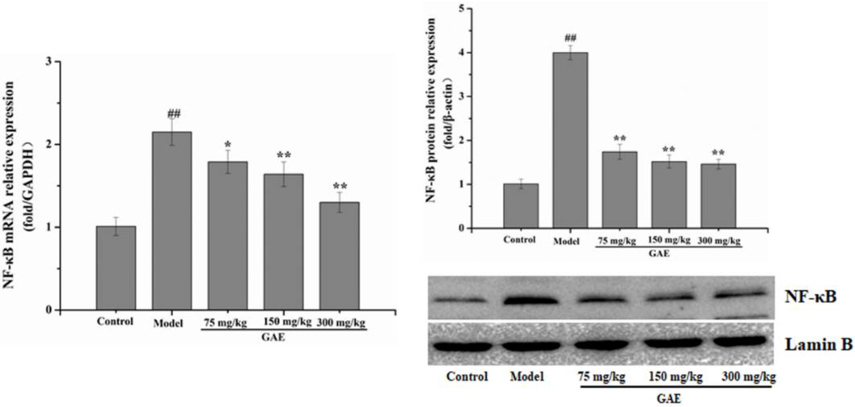 Molecules 27 08243 g004a