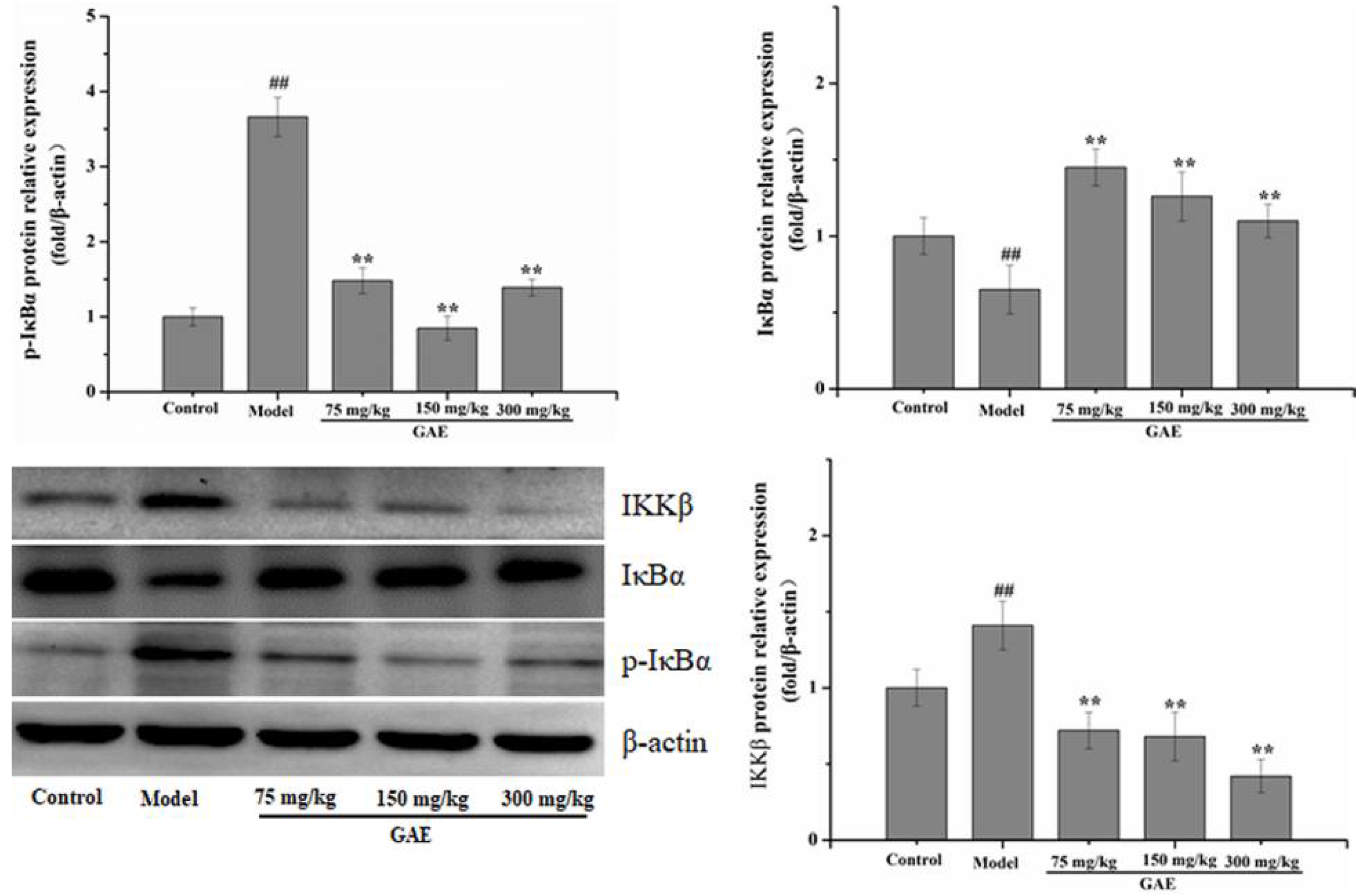 Molecules 27 08243 g004b