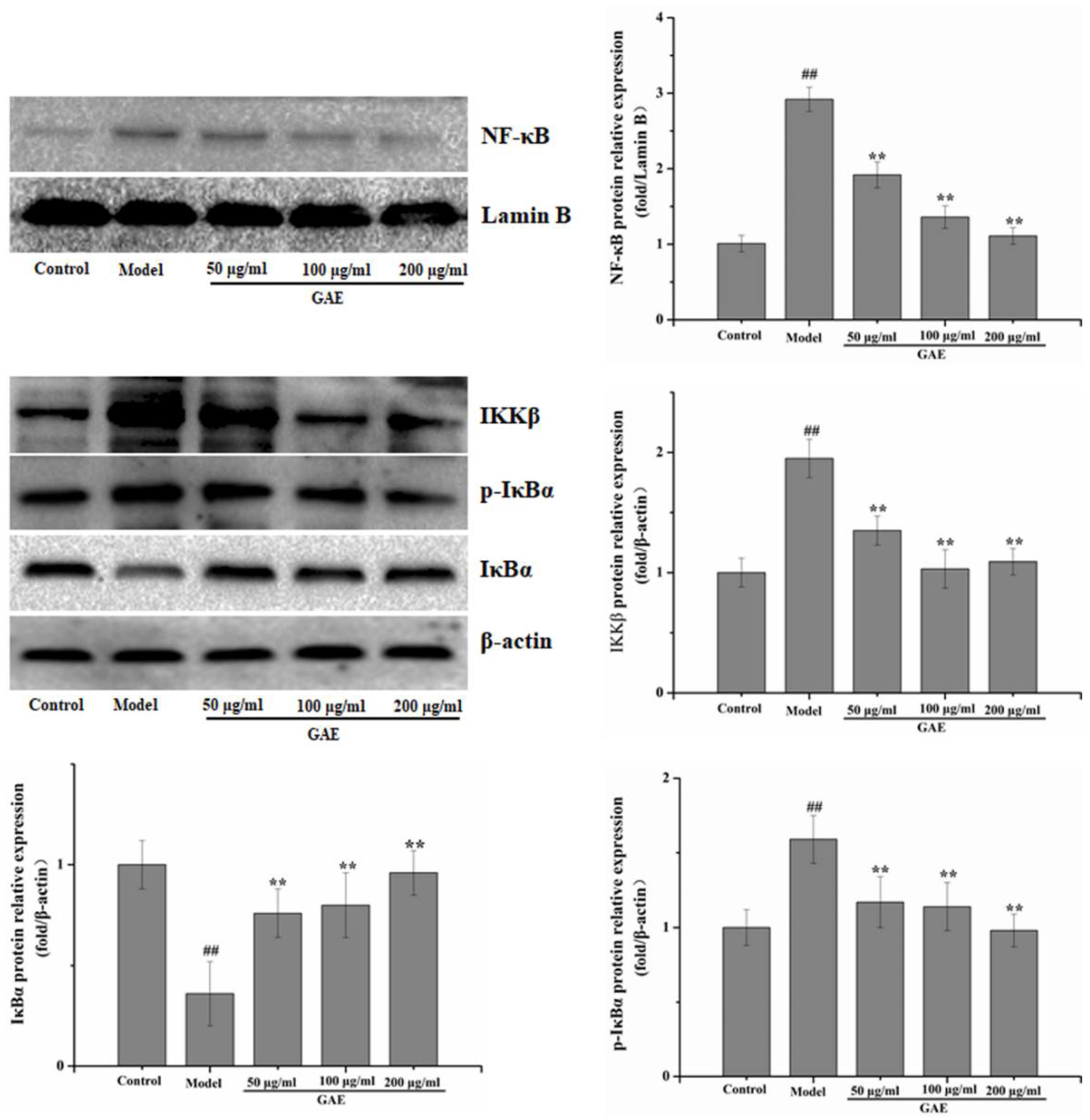 Molecules 27 08243 g005