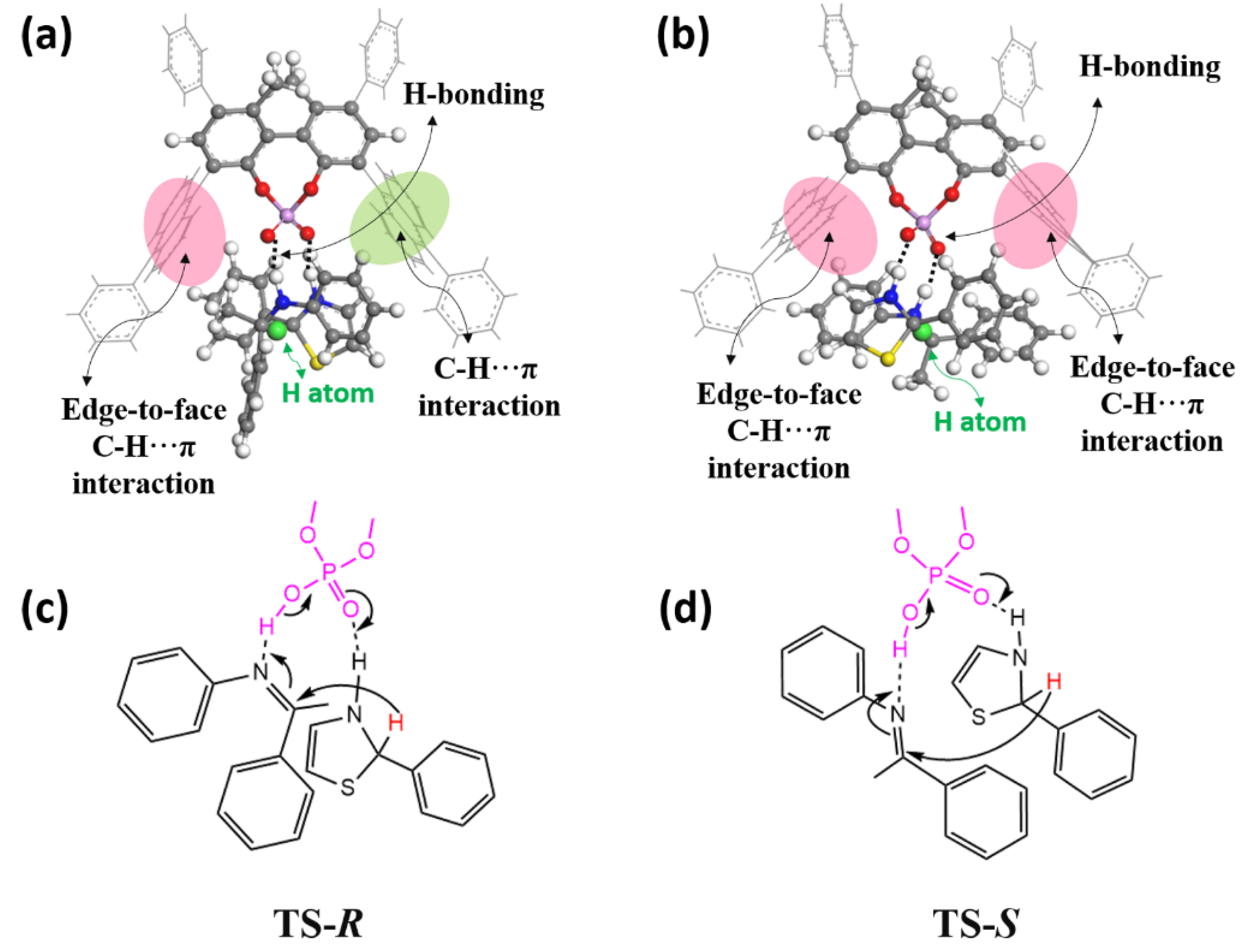 Molecules 27 08244 g001 Molecules 27 08244 g001