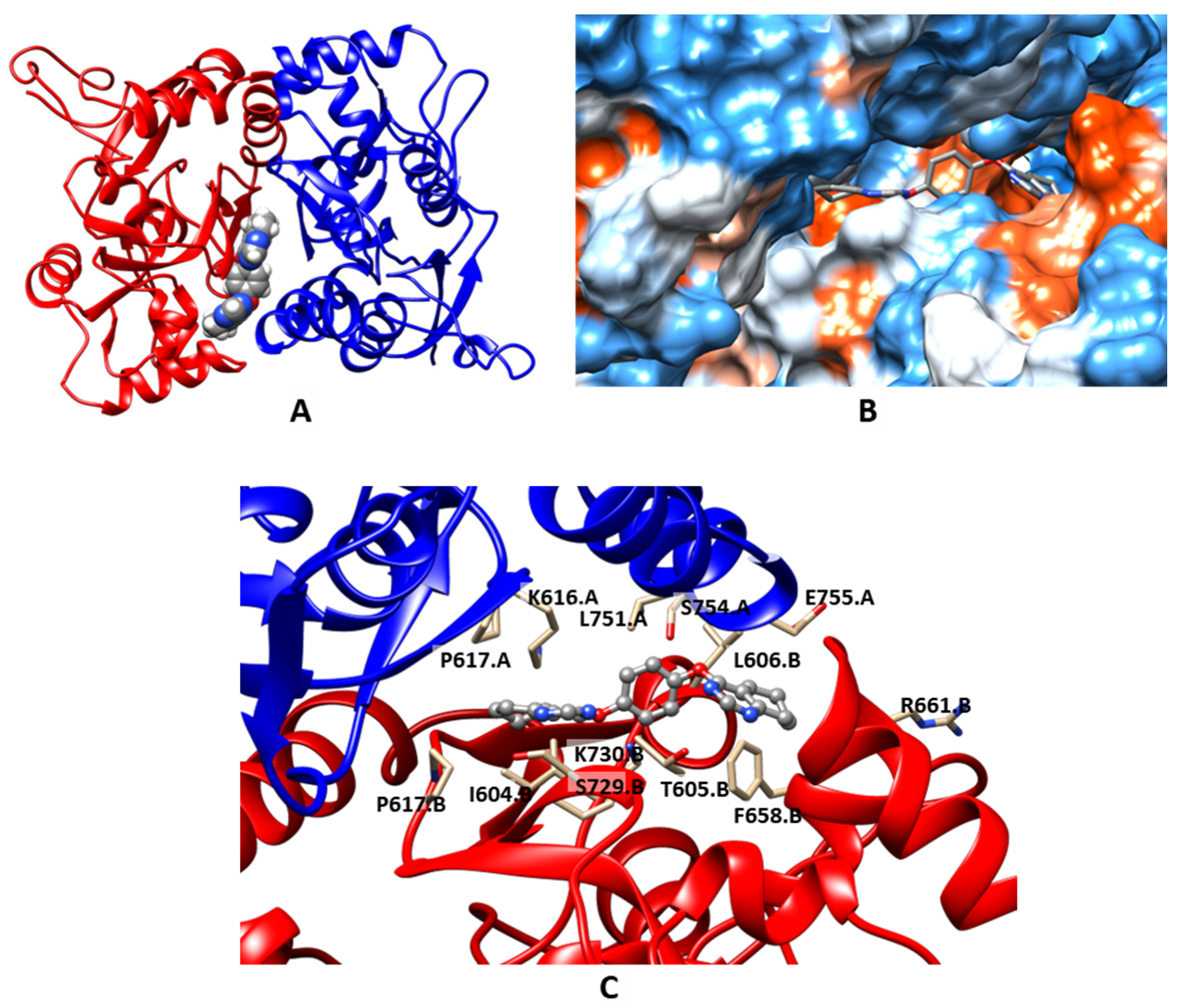 Molecules 27 08252 g003