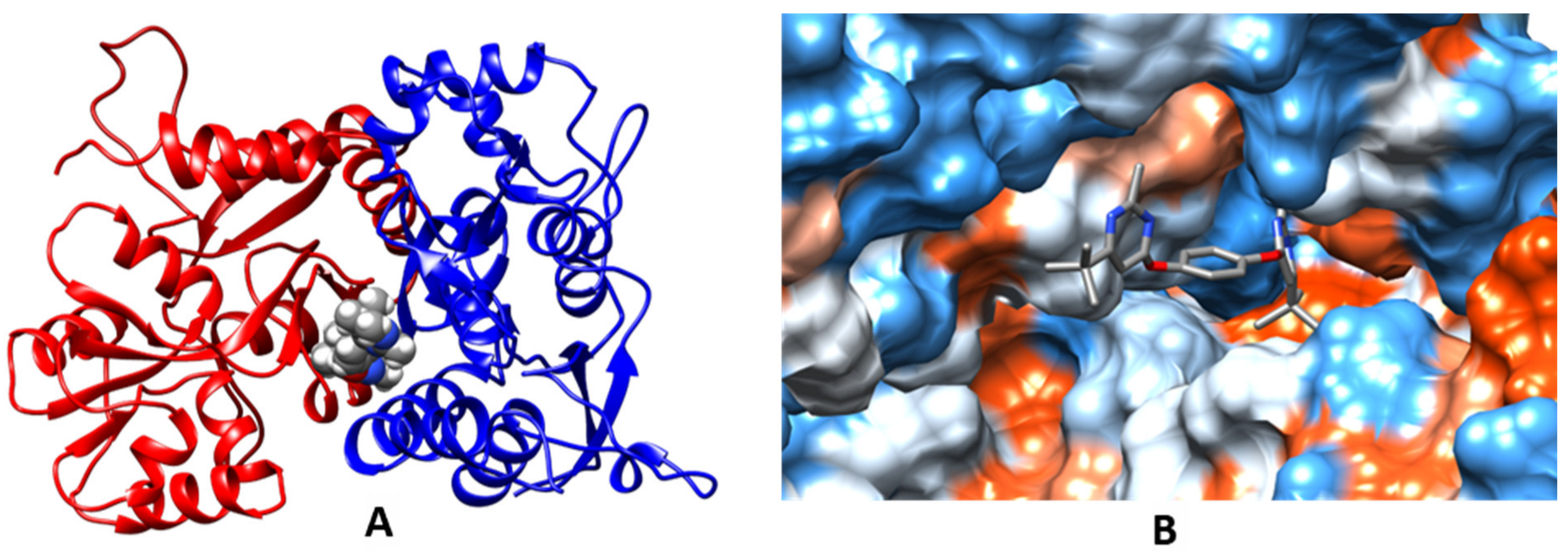 Molecules 27 08252 g004a