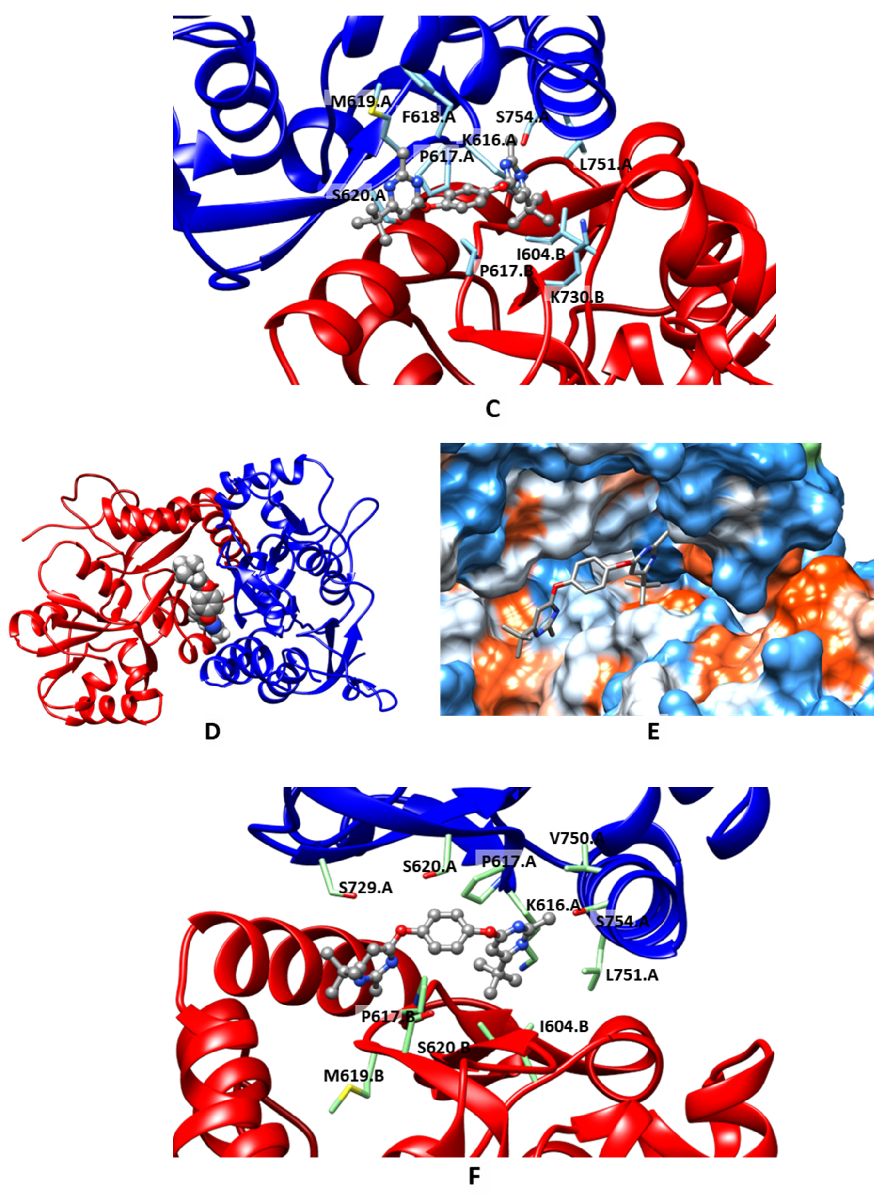 Molecules 27 08252 g004b