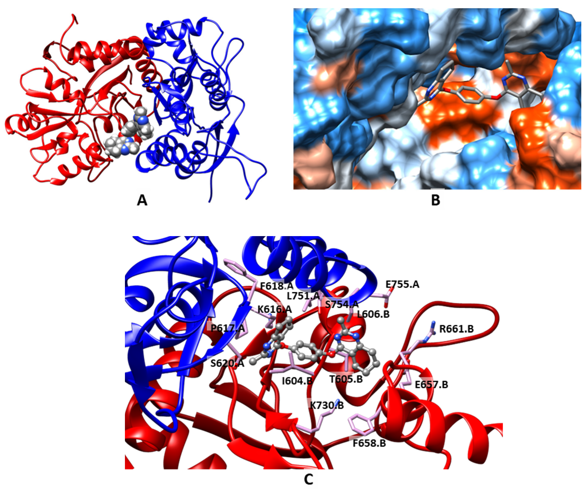 Molecules 27 08252 g005