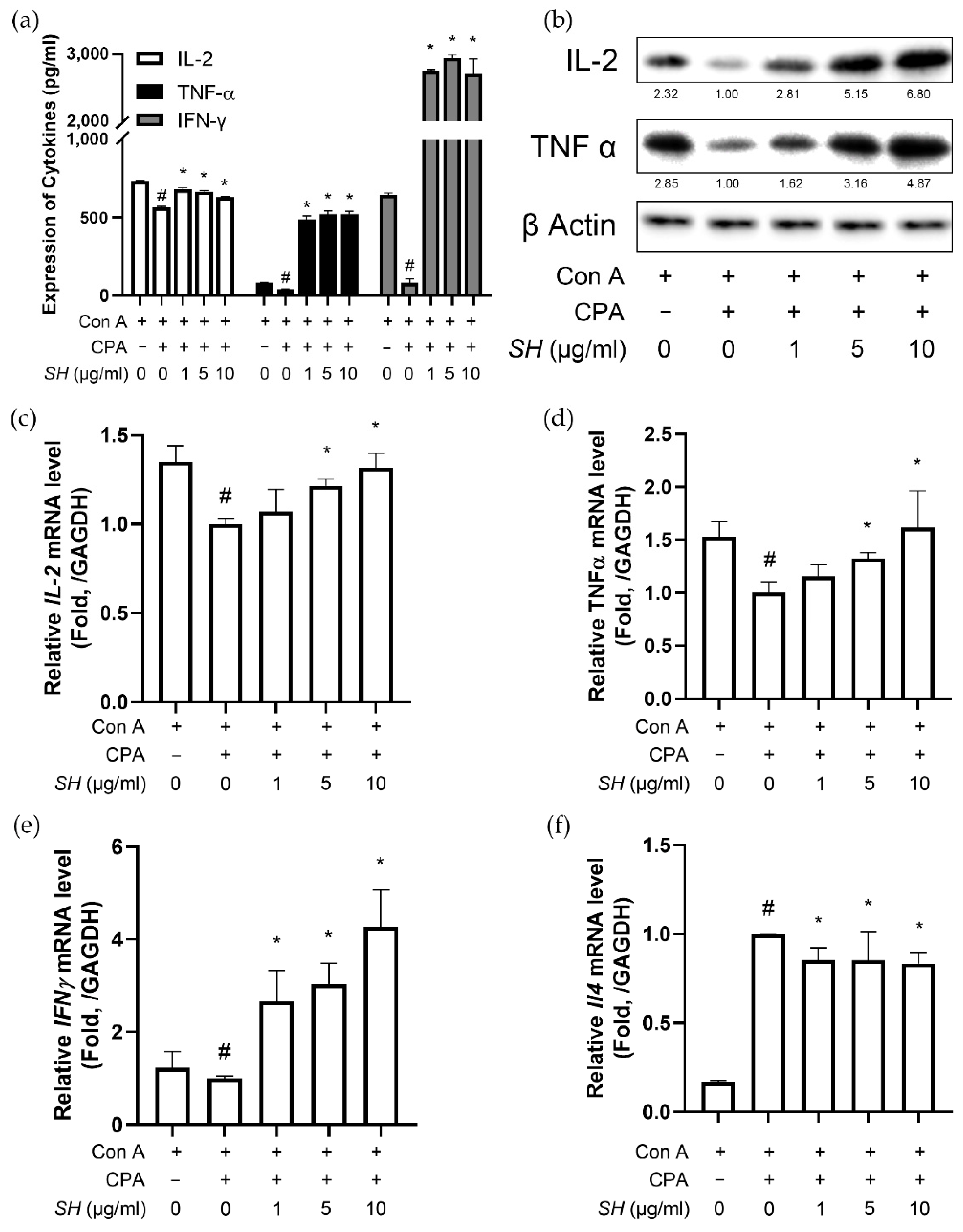 Molecules 27 08253 g008
