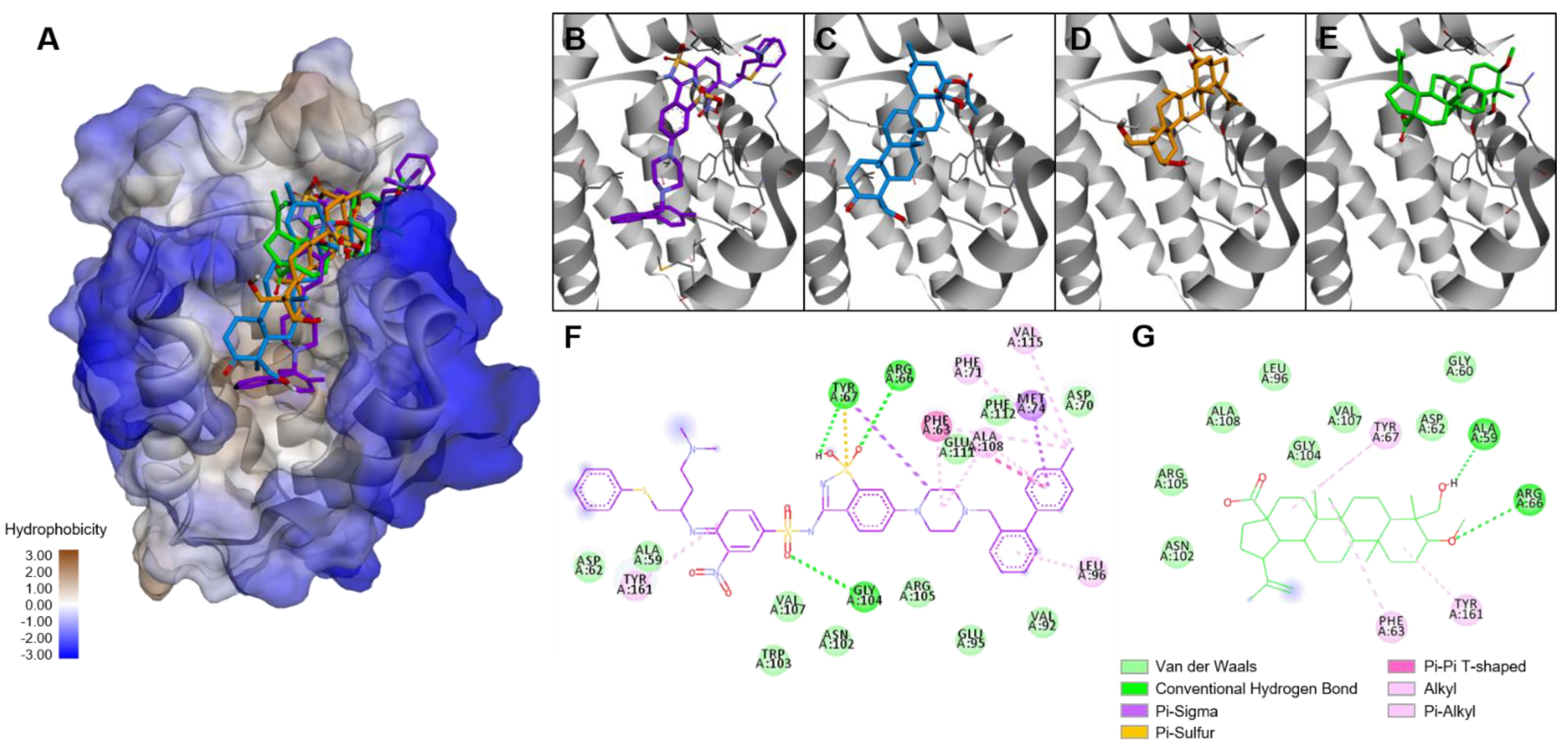 Molecules 27 08263 g006 Molecules 27 08263 g006