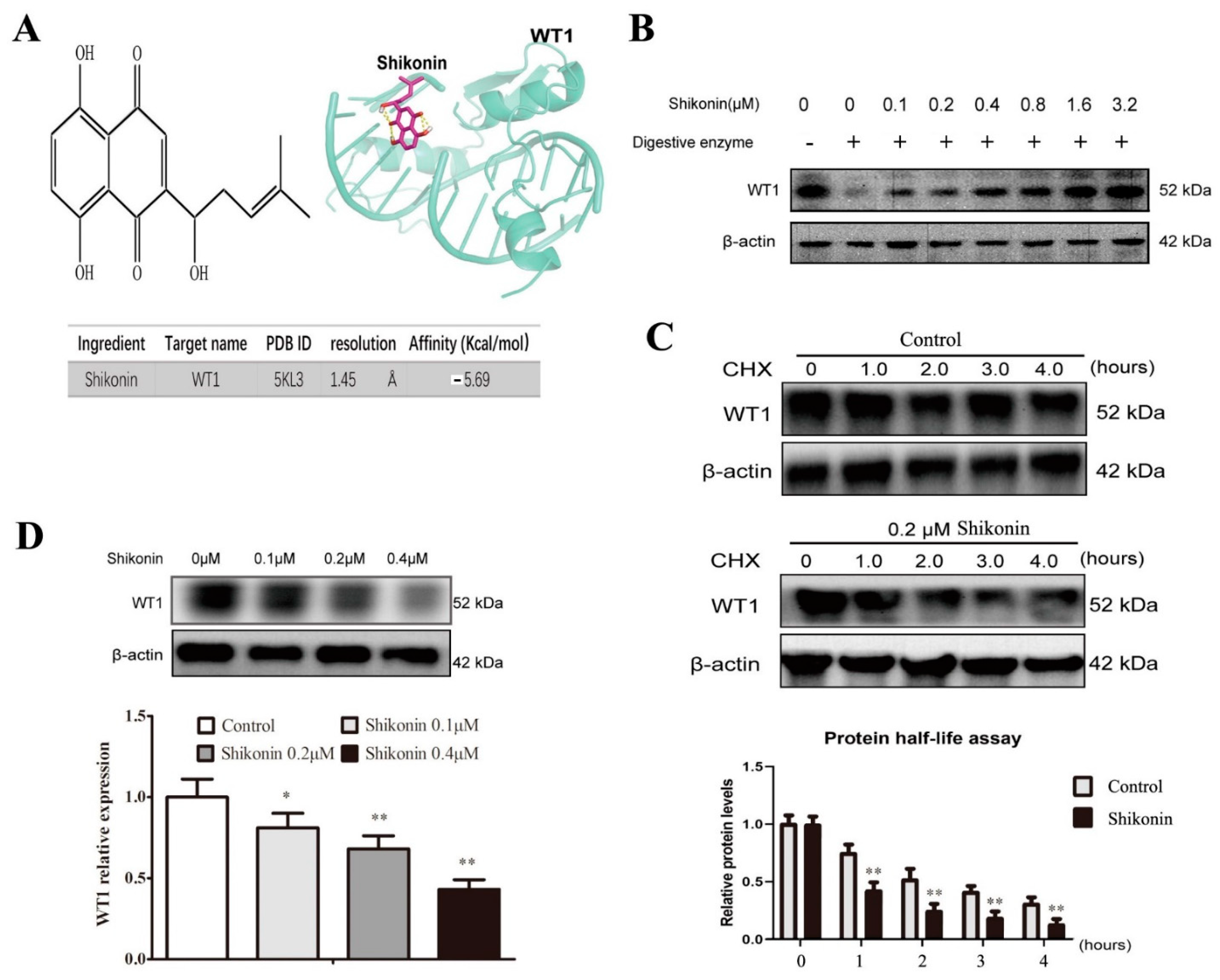 Molecules 27 08264 g003