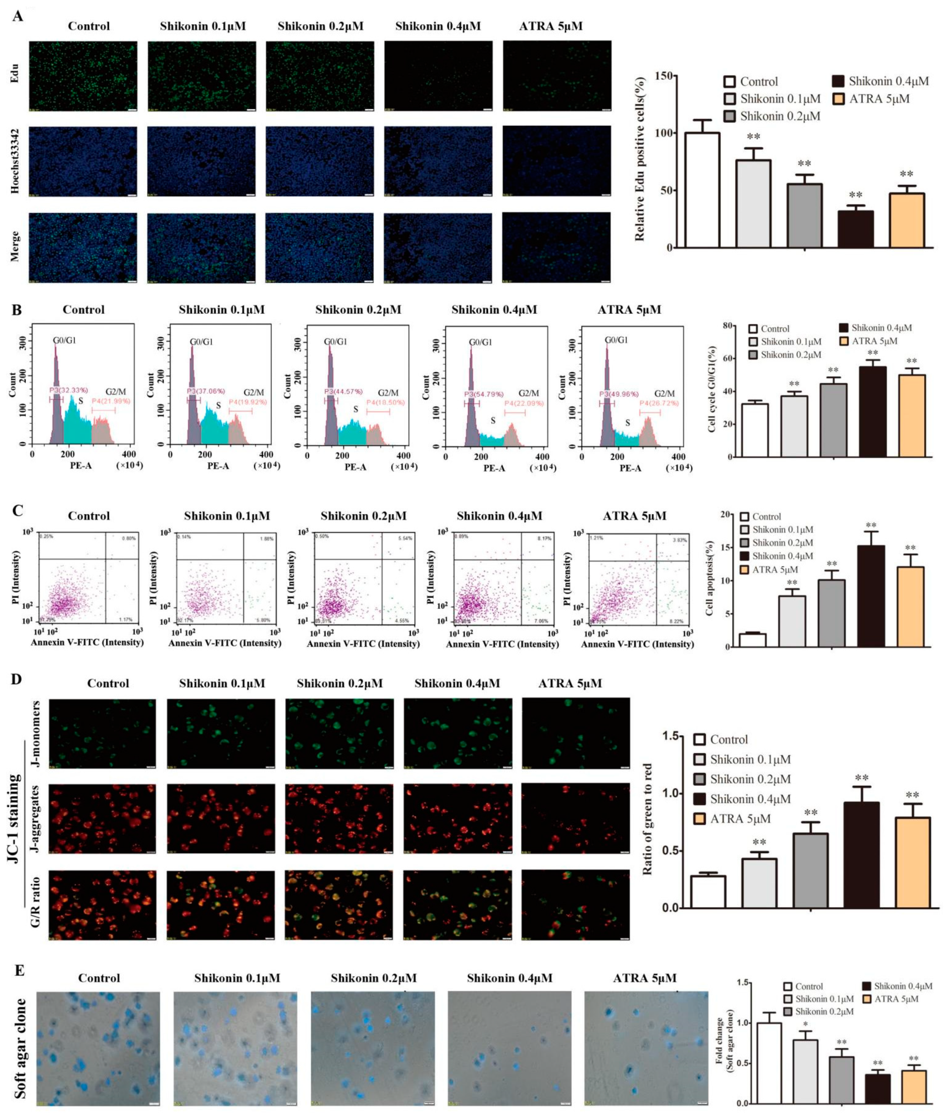 Molecules 27 08264 g006