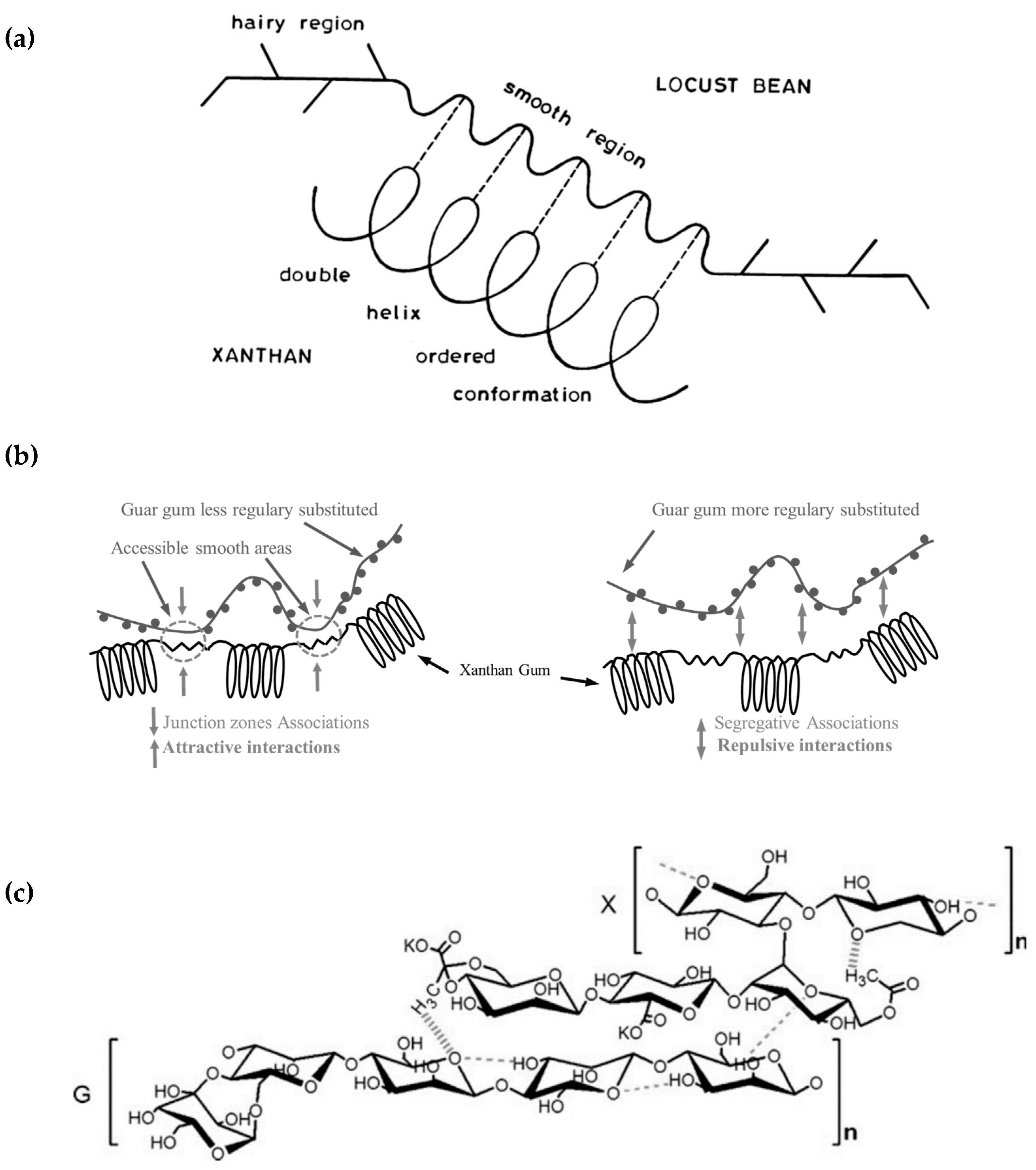 Molecules Free FullText Locust Bean Gum, a Vegetable Hydrocolloid