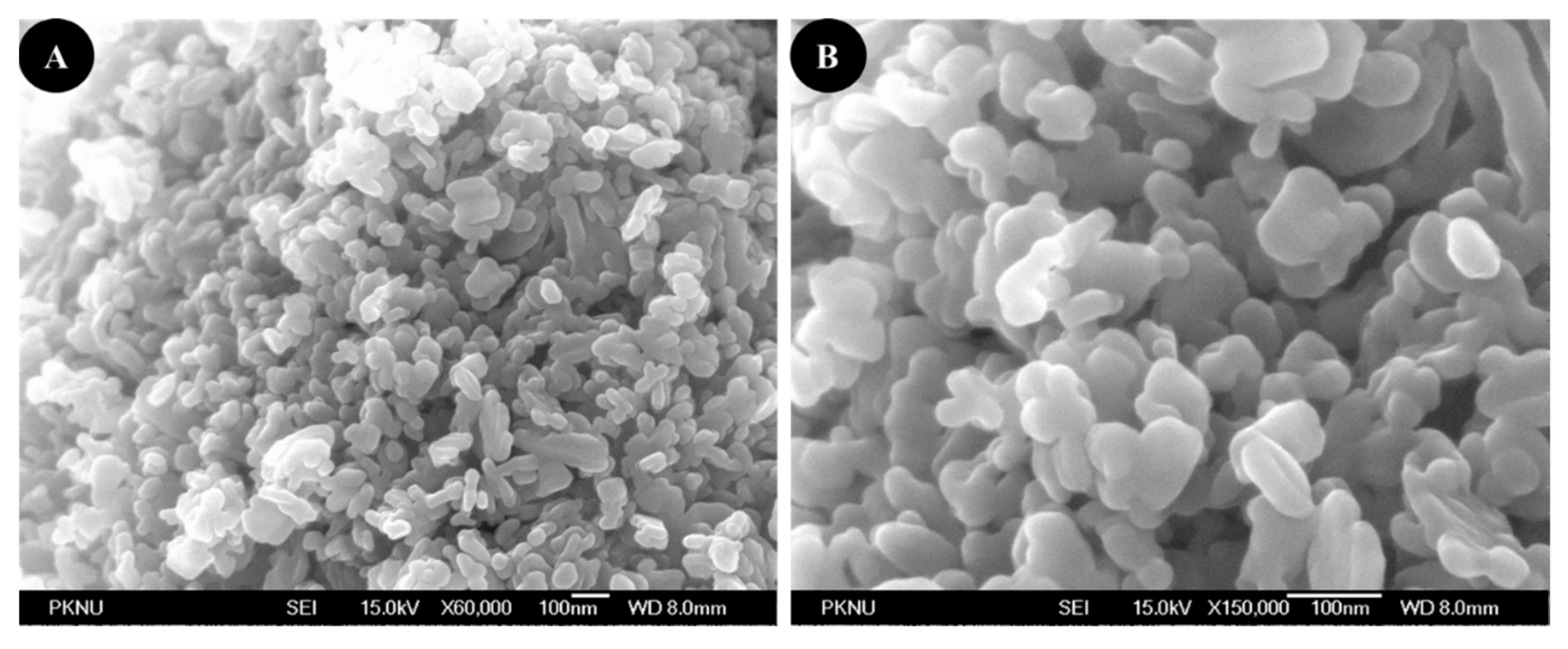 Molecules 27 08269 g004