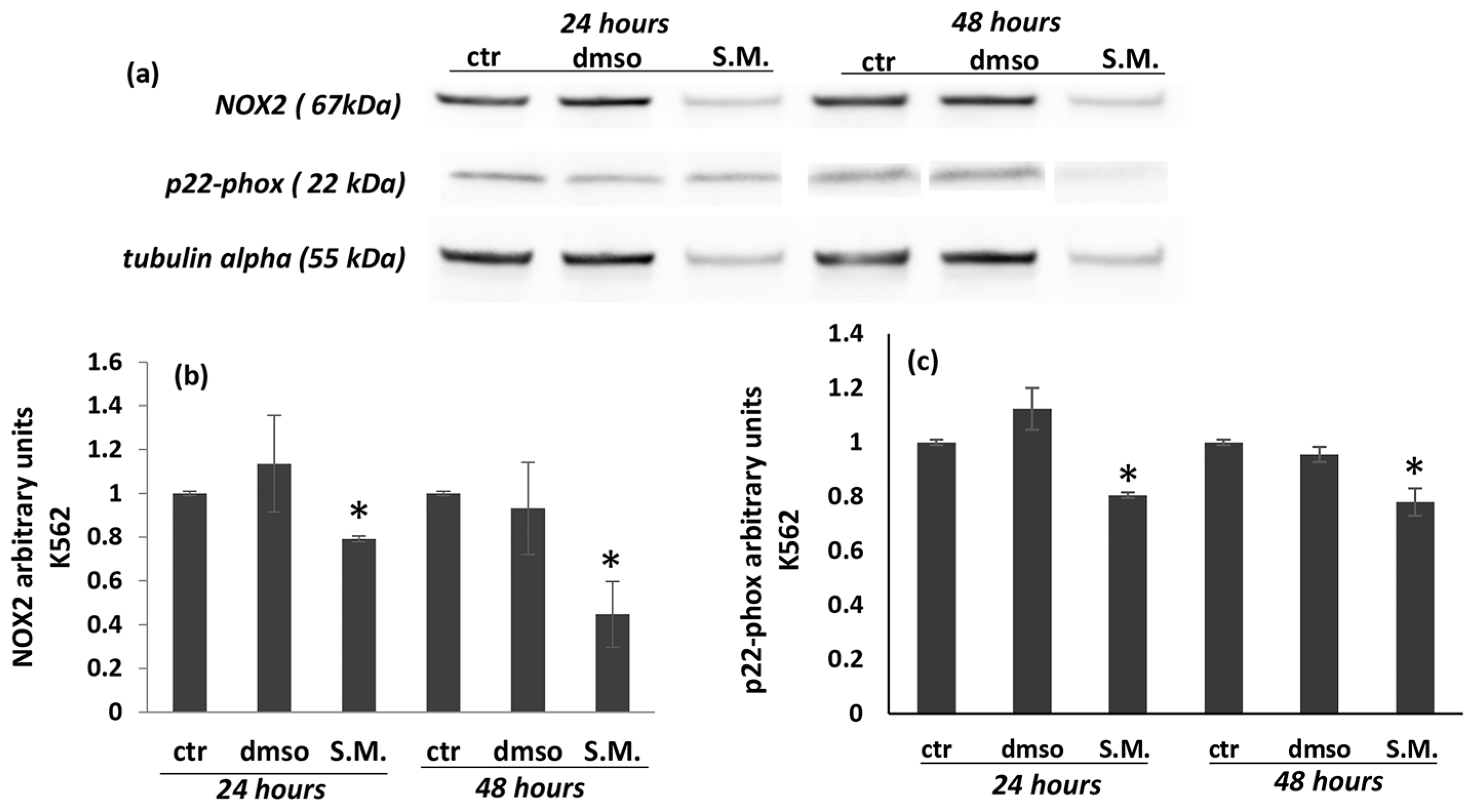Molecules 27 08270 g008 Molecules 27 08270 g008