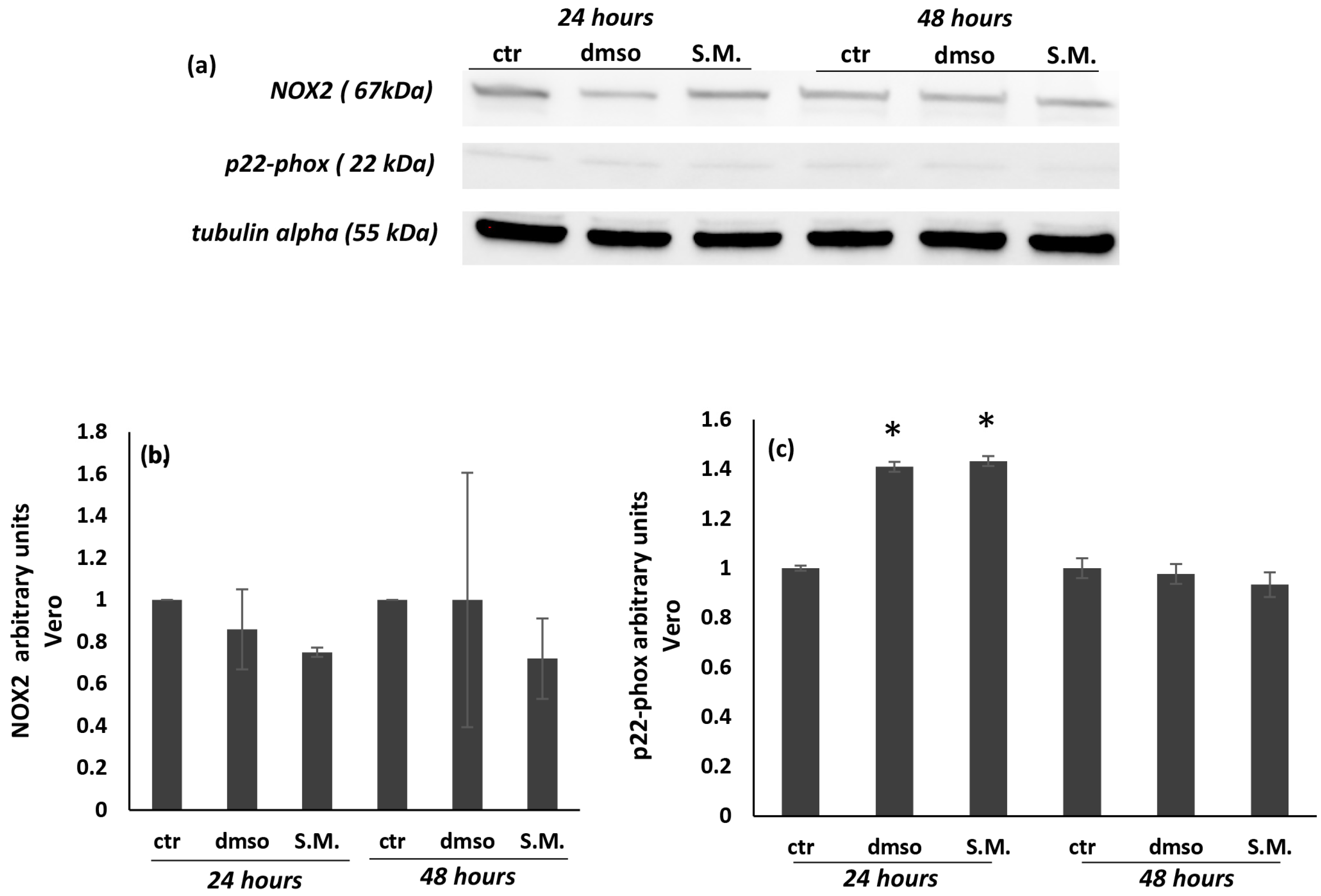 Molecules 27 08270 g009 Molecules 27 08270 g009