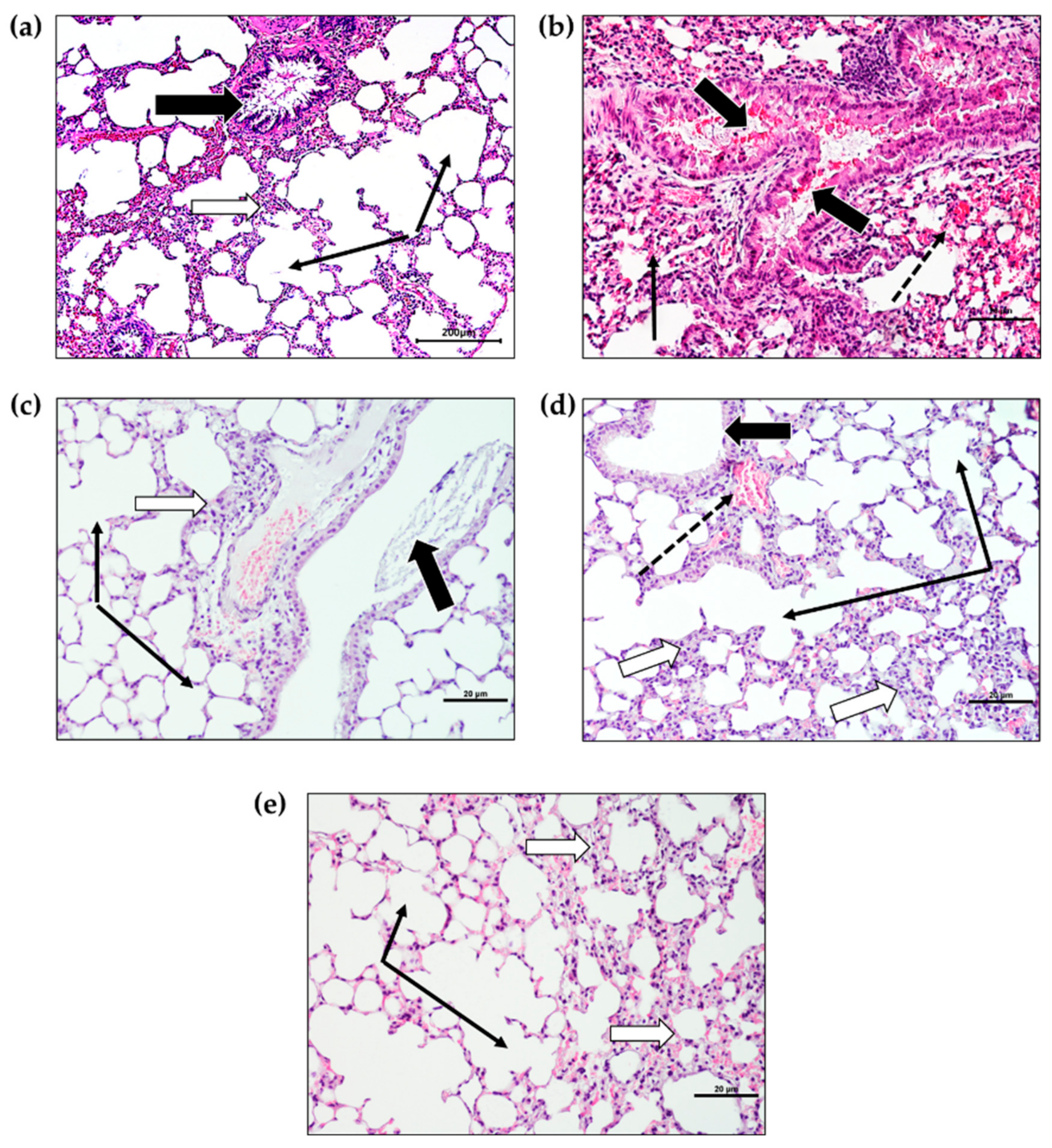 Molecules 27 08293 g003 Molecules 27 08293 g003