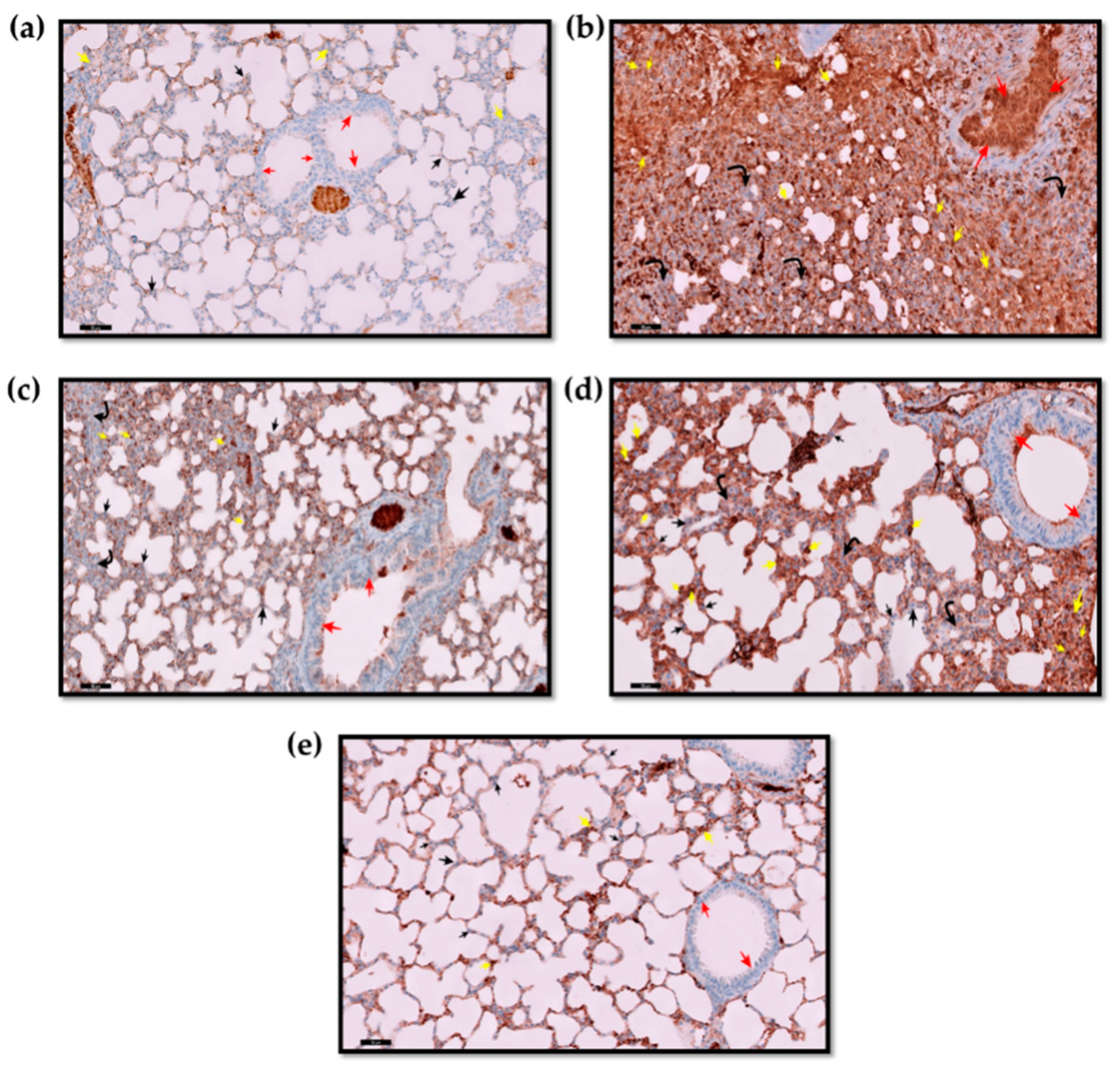 Molecules 27 08293 g004 Molecules 27 08293 g004
