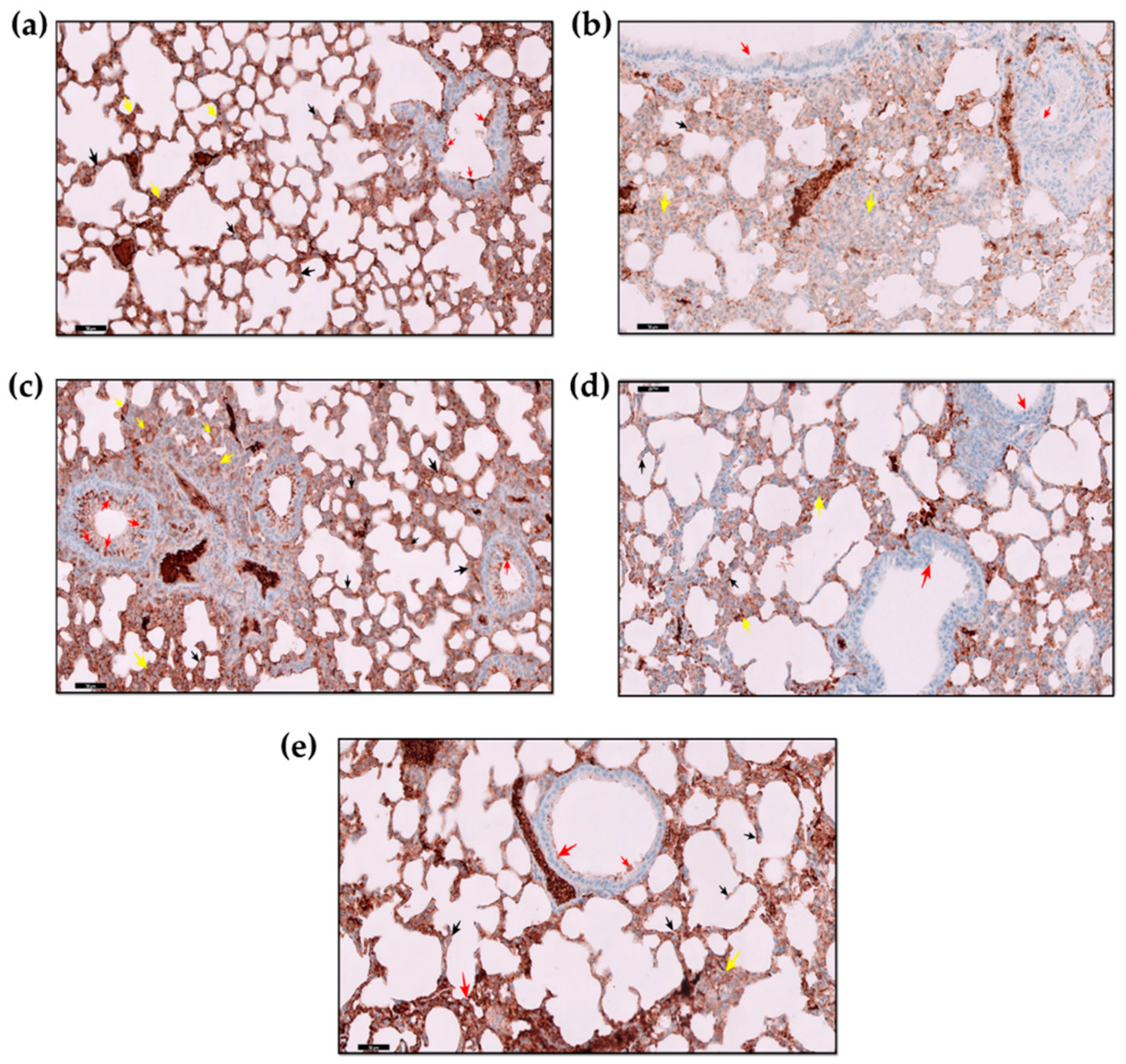 Molecules 27 08293 g005 Molecules 27 08293 g005