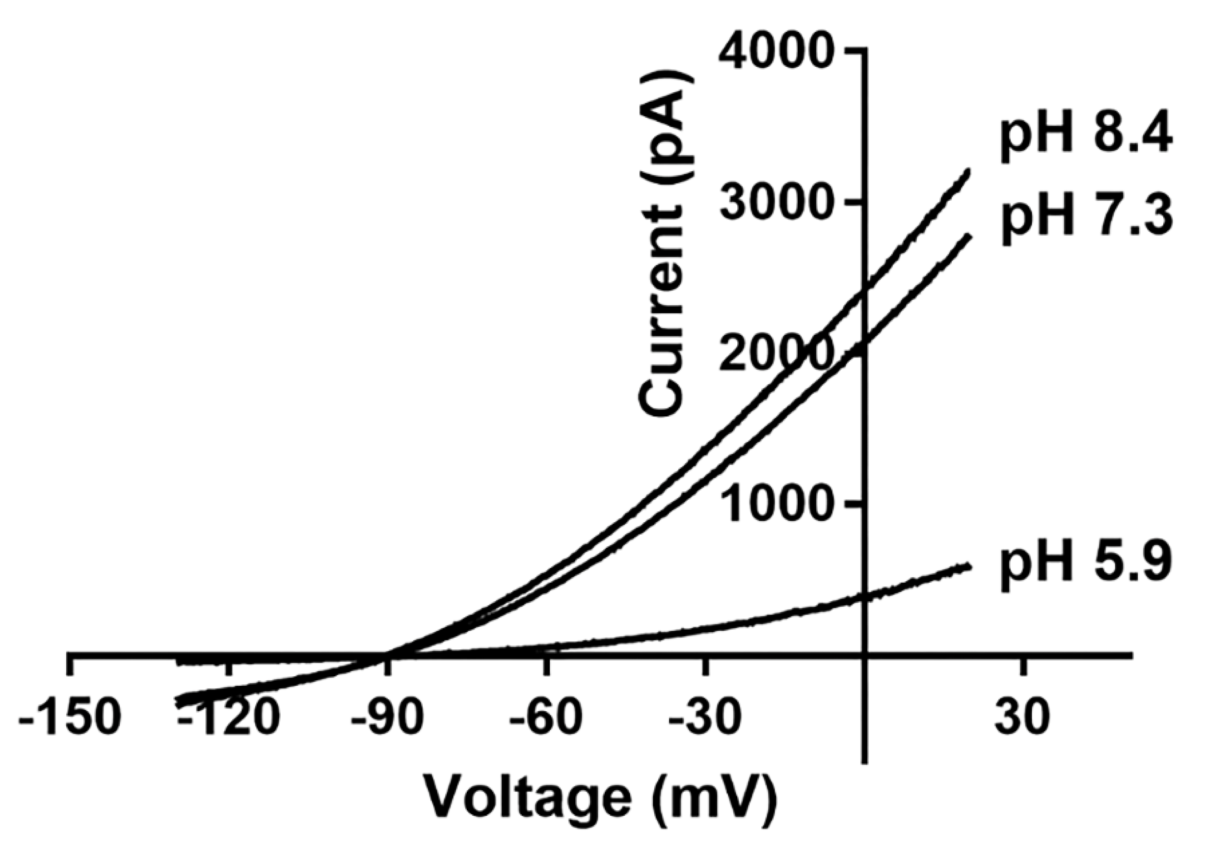 Molecules 27 08296 g002 Molecules 27 08296 g002