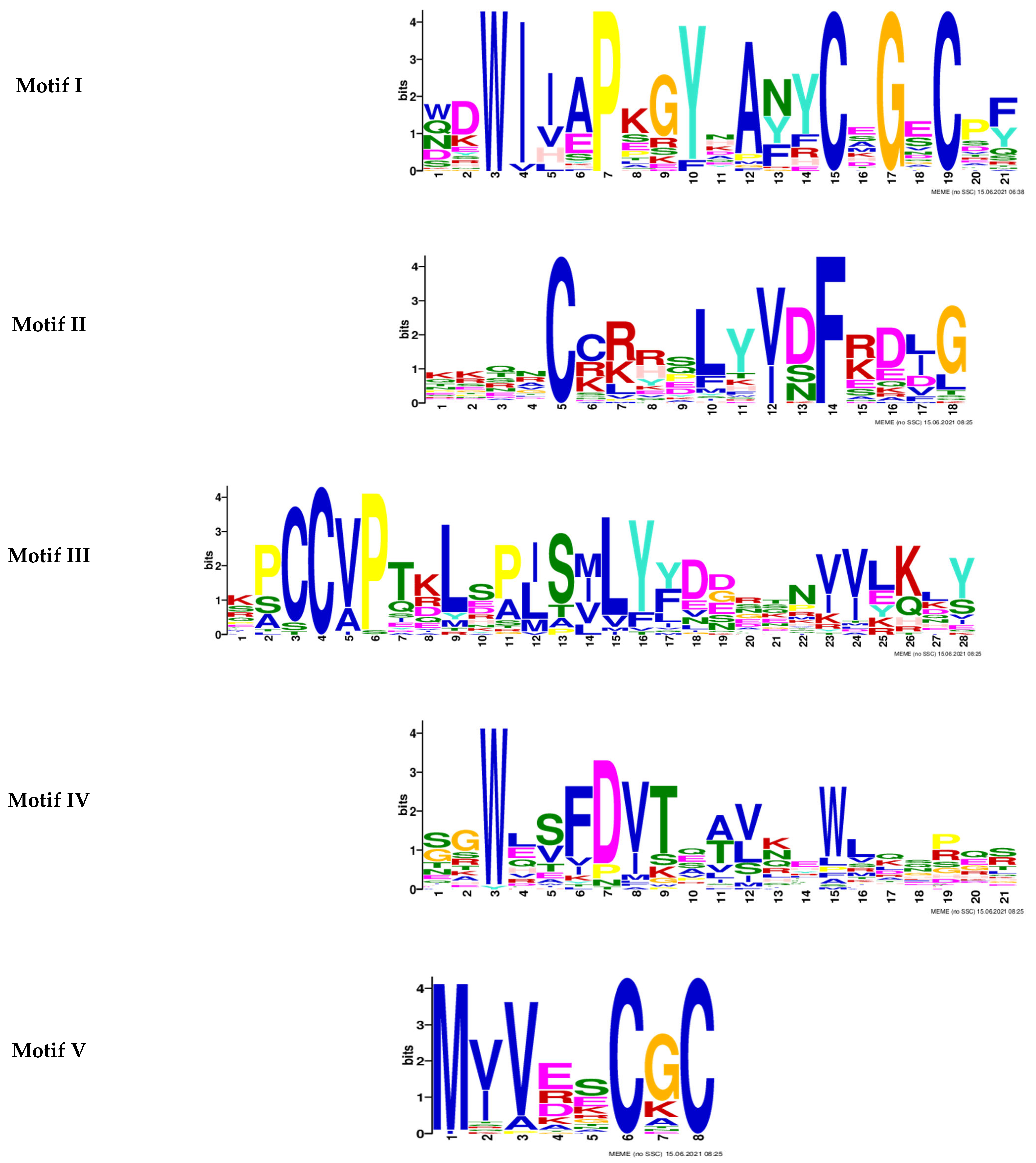 Molecules 27 08304 g002 Molecules 27 08304 g002