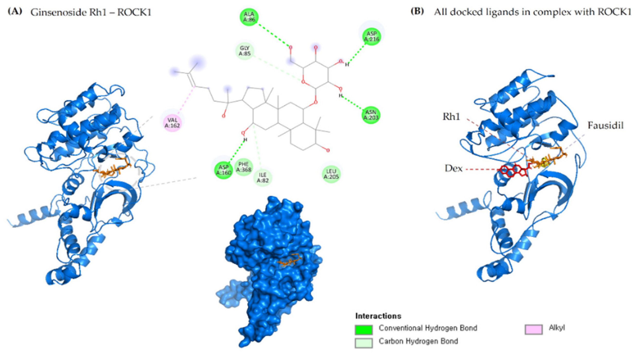 Molecules 27 08311 g002 Molecules 27 08311 g002