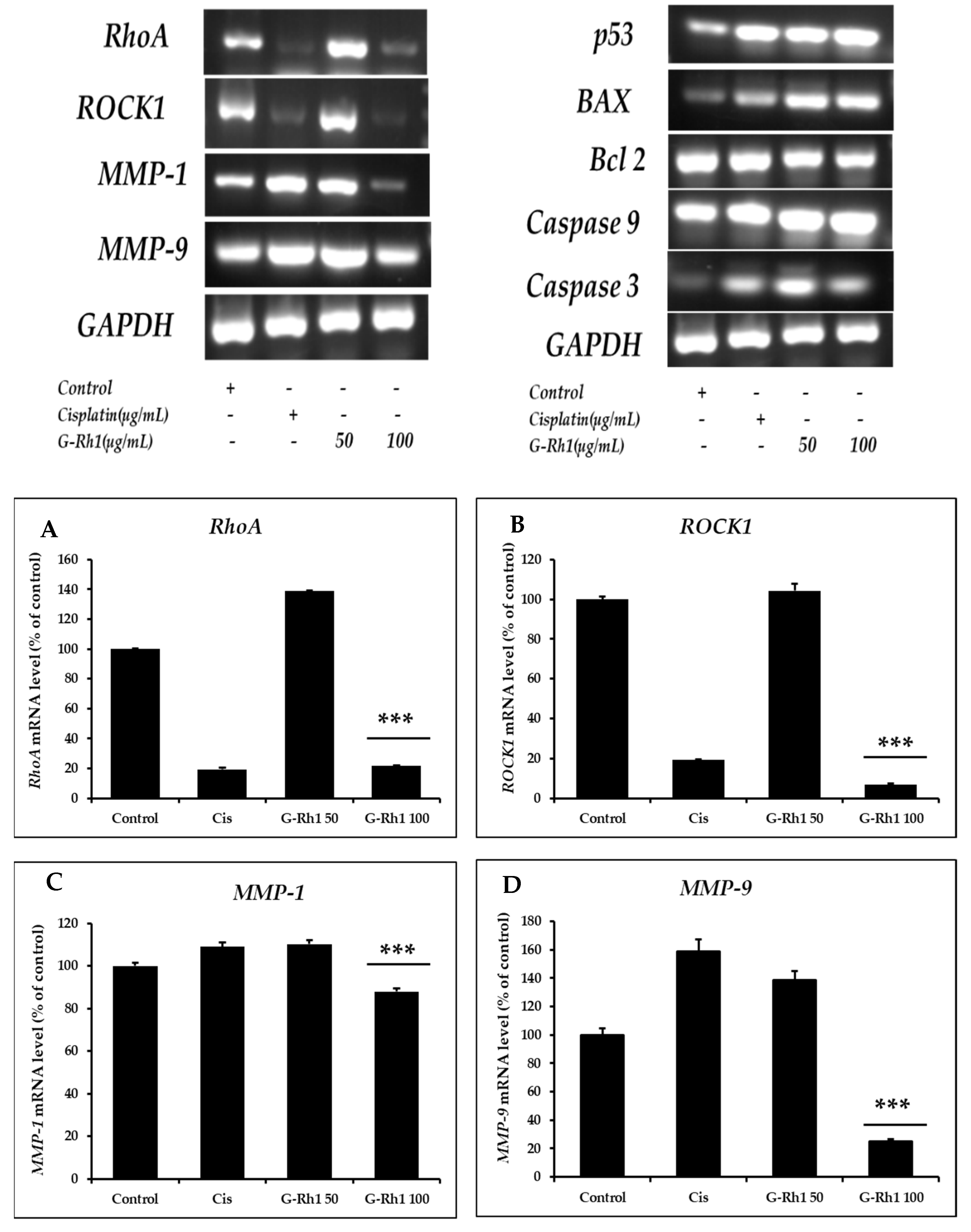 Molecules 27 08311 g011a Molecules 27 08311 g011a