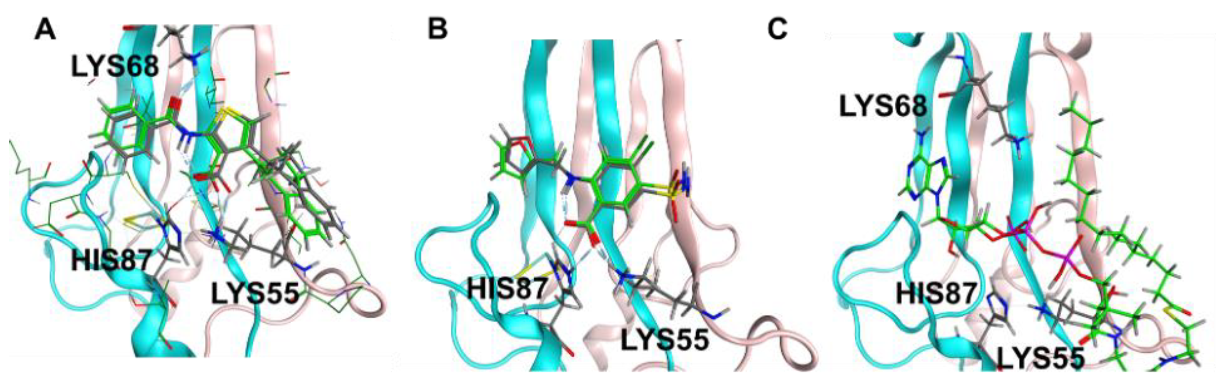 Molecules 27 08314 g003