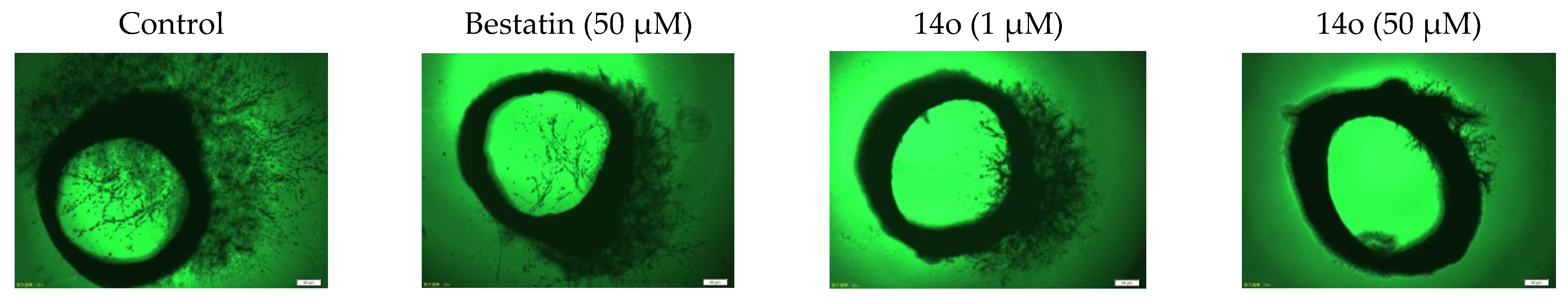 Molecules 27 08339 g003