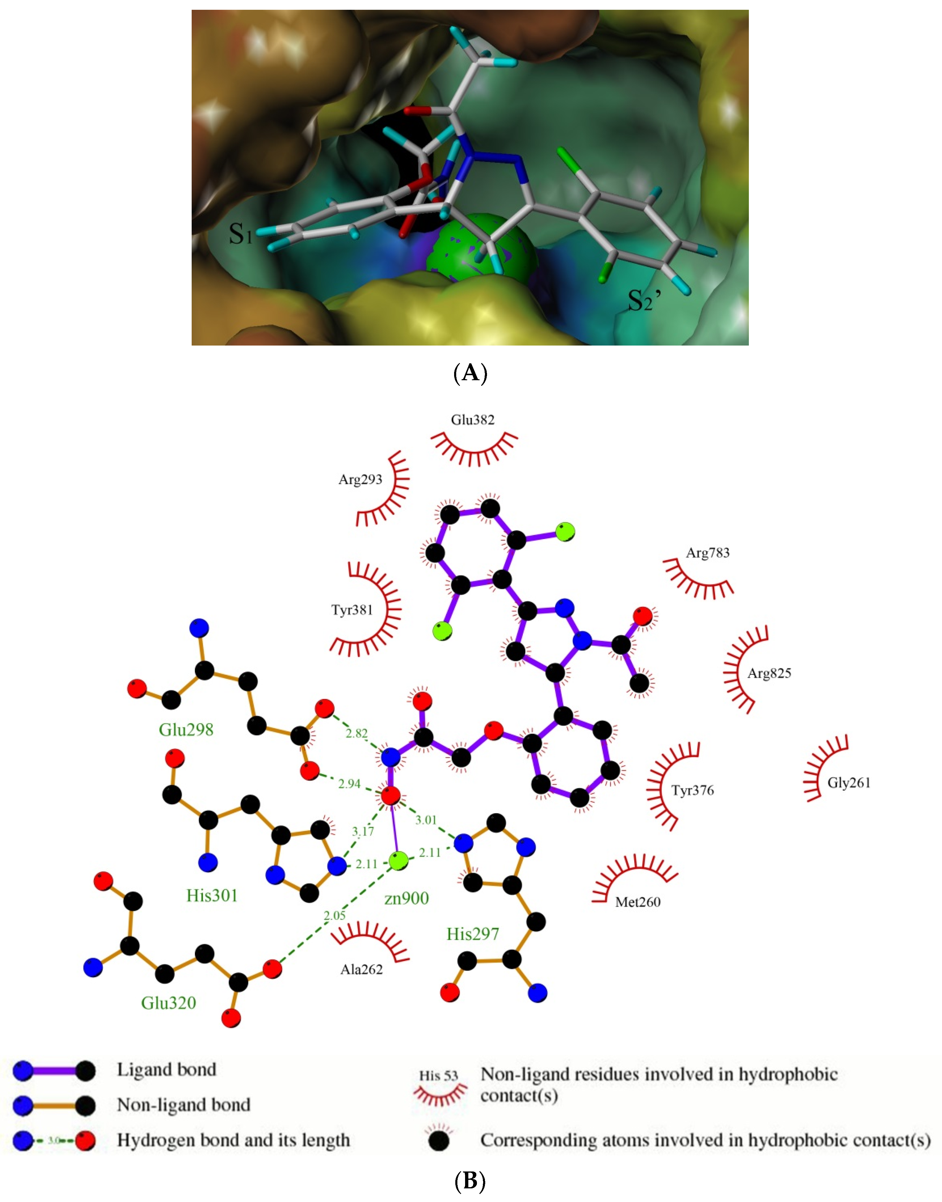 Molecules 27 08339 g004