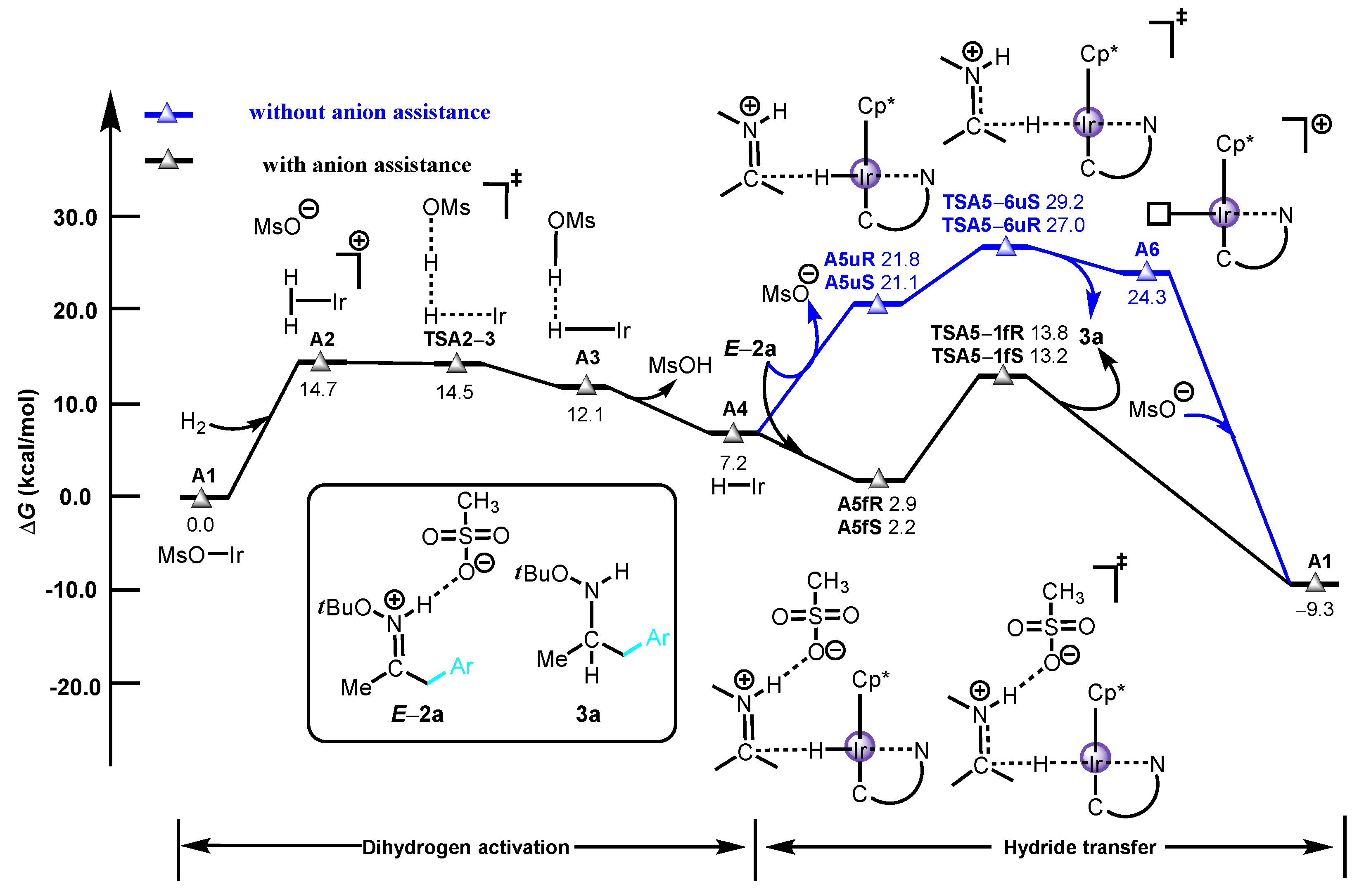 Molecules 27 08349 g001