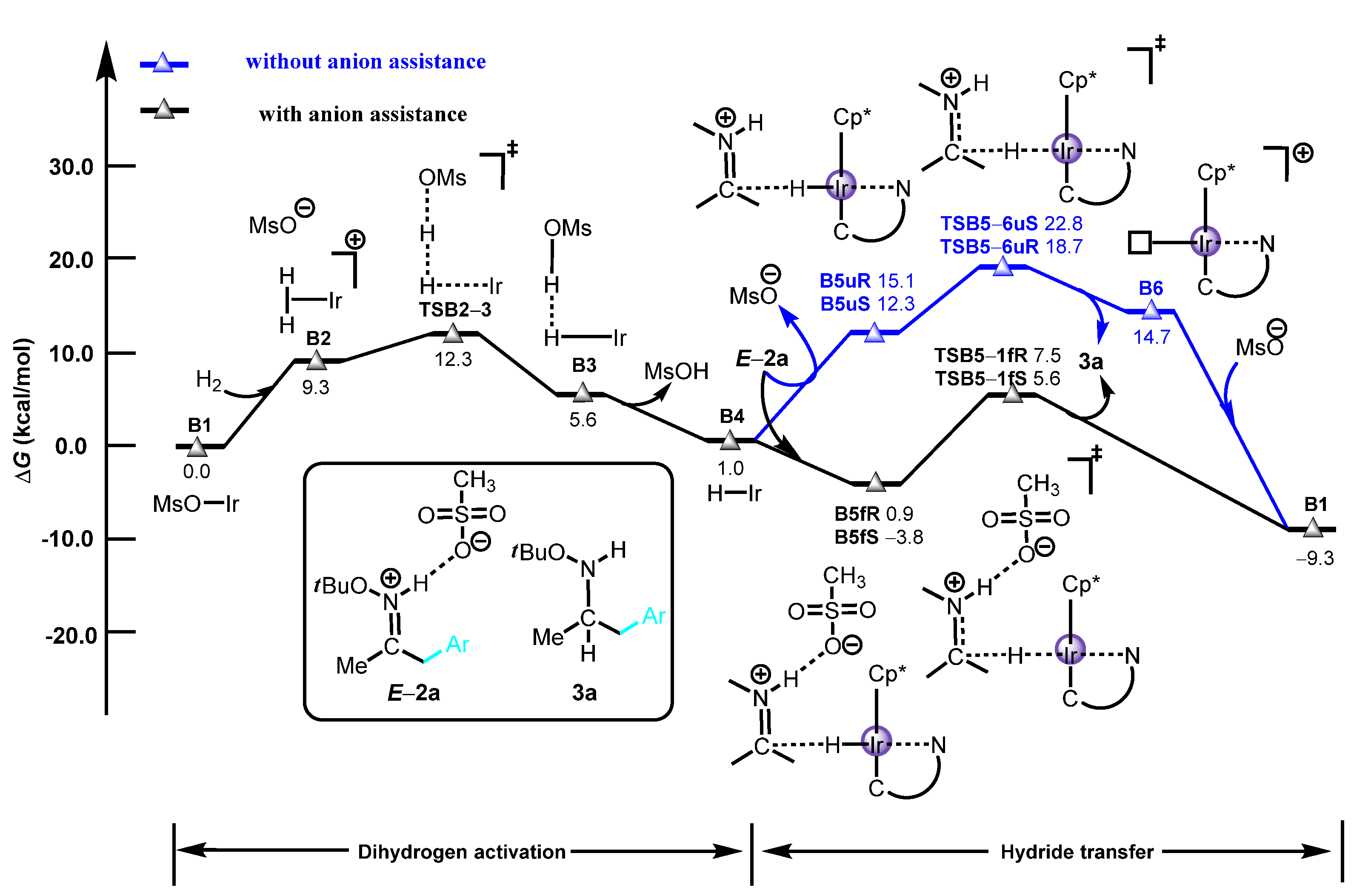 Molecules 27 08349 g002