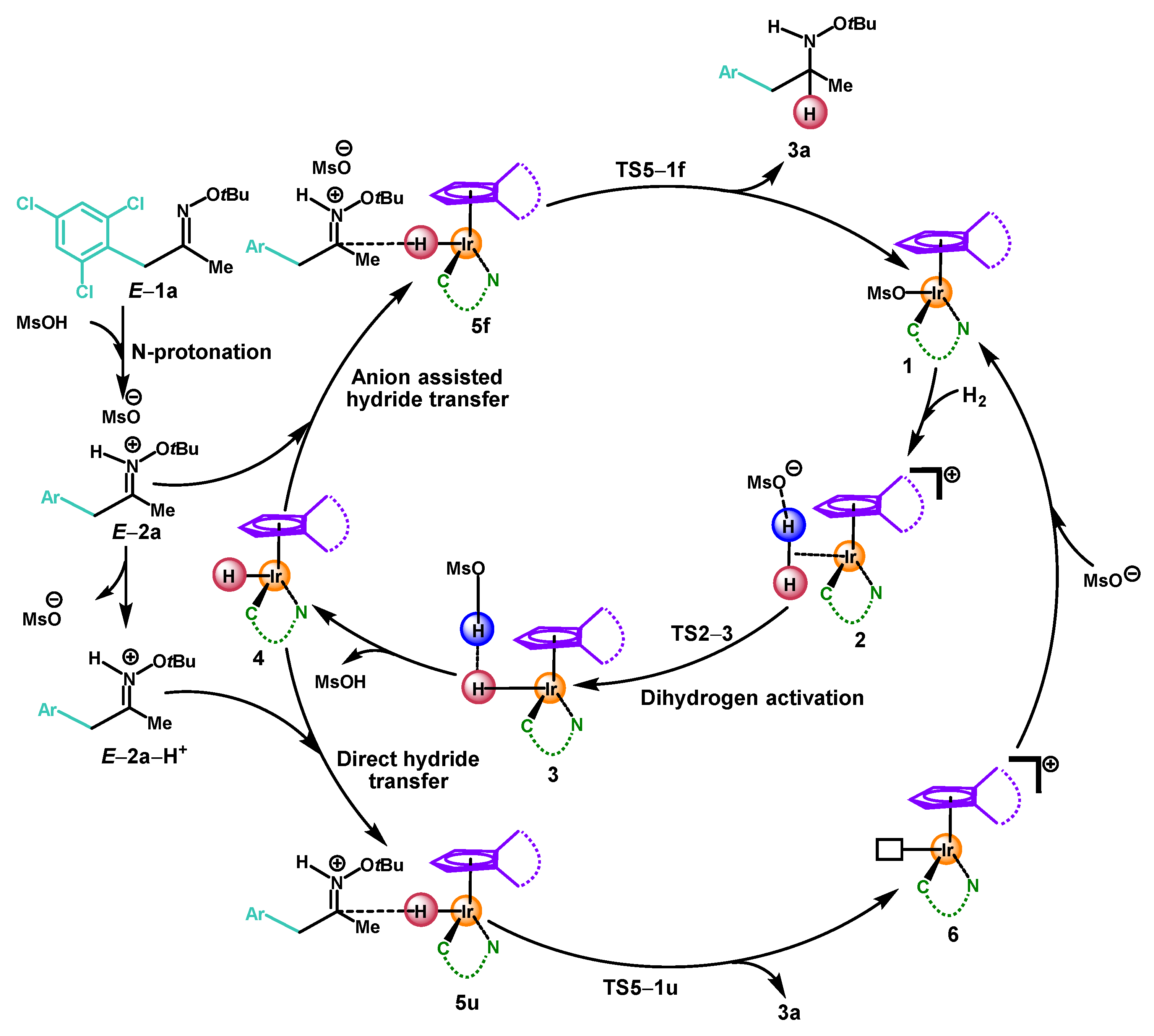 Molecules 27 08349 sch002