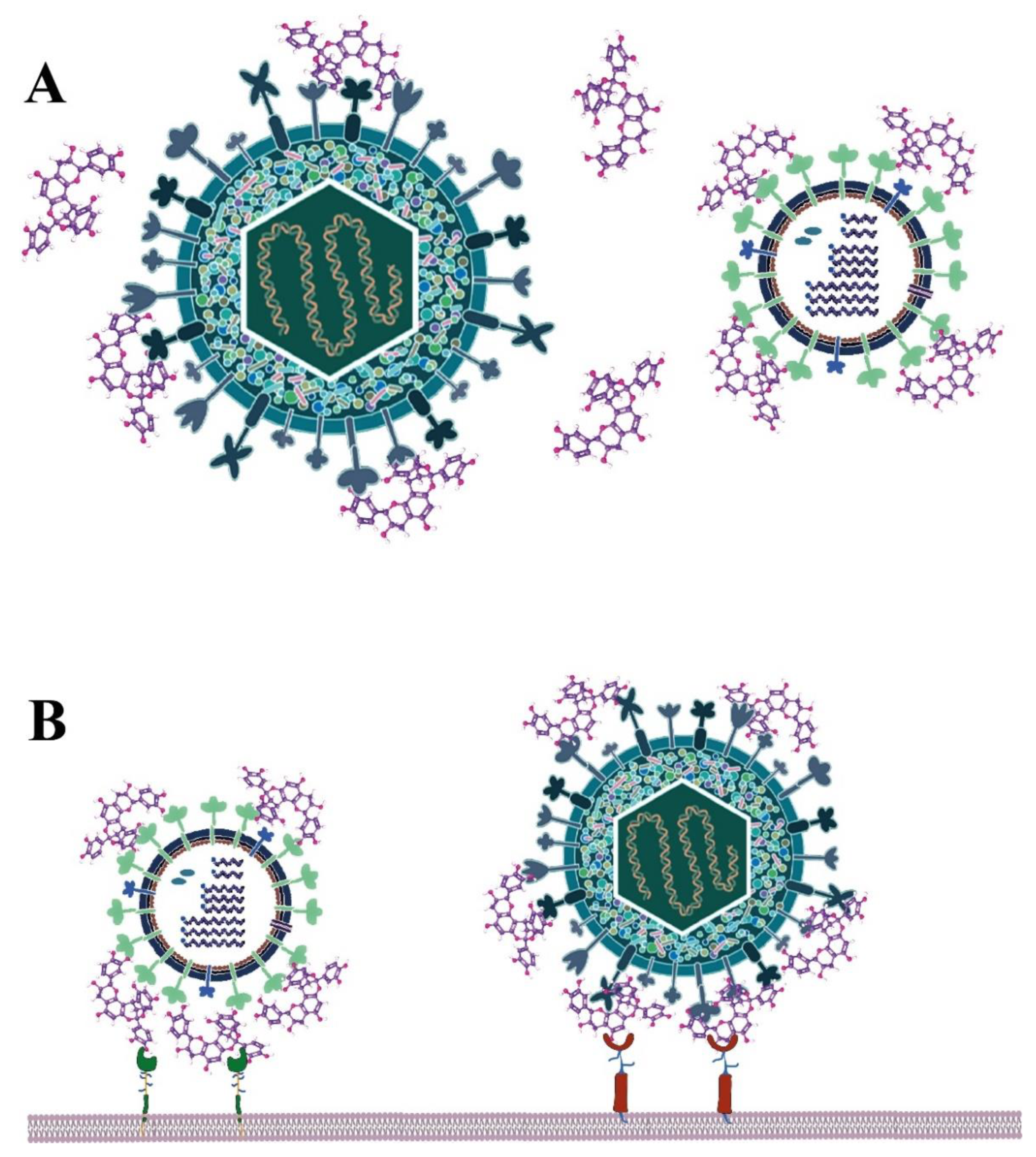 Molecules 27 08353 g003 Molecules 27 08353 g003