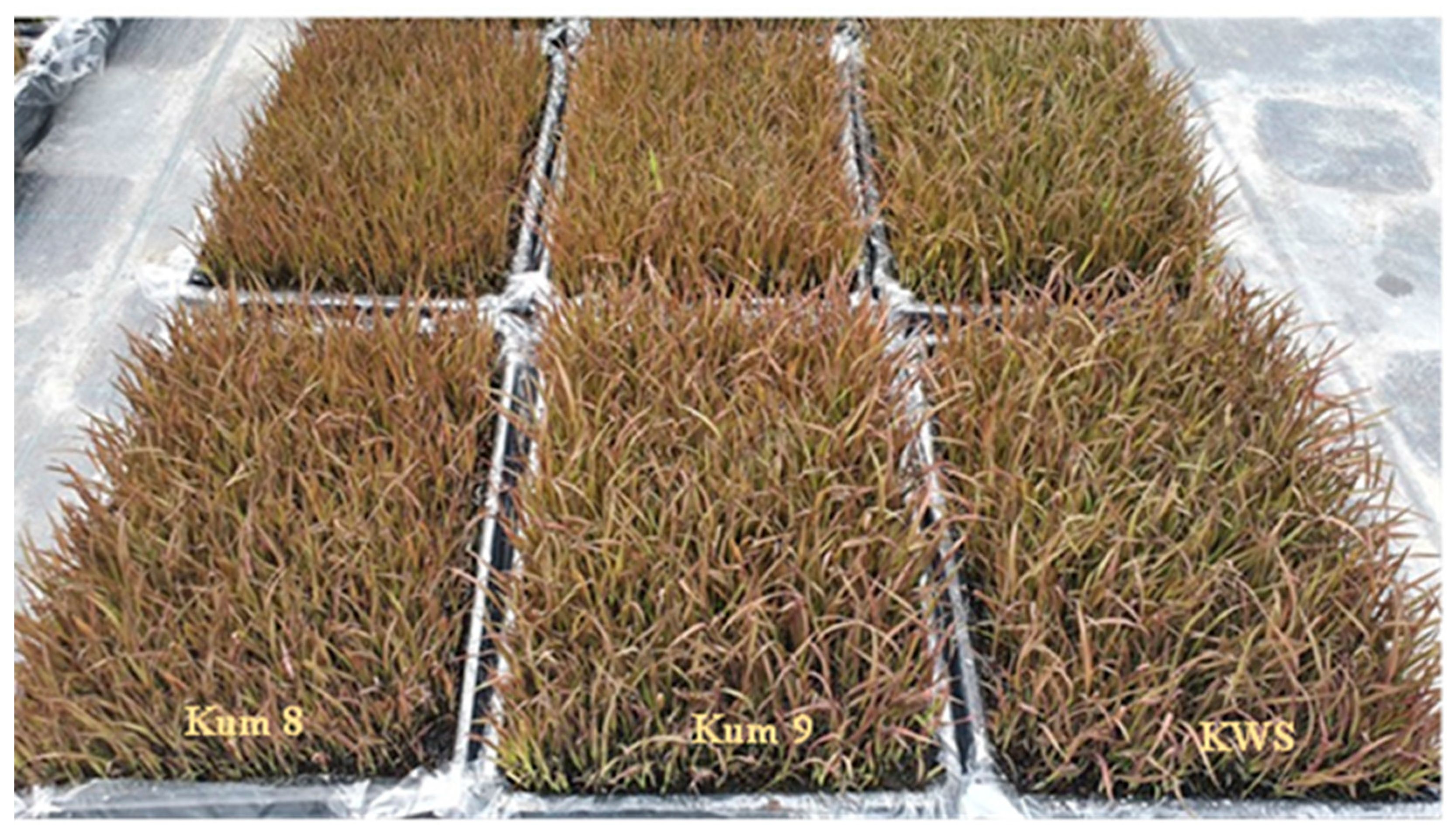 Molecules 27 08355 g005 Molecules 27 08355 g005