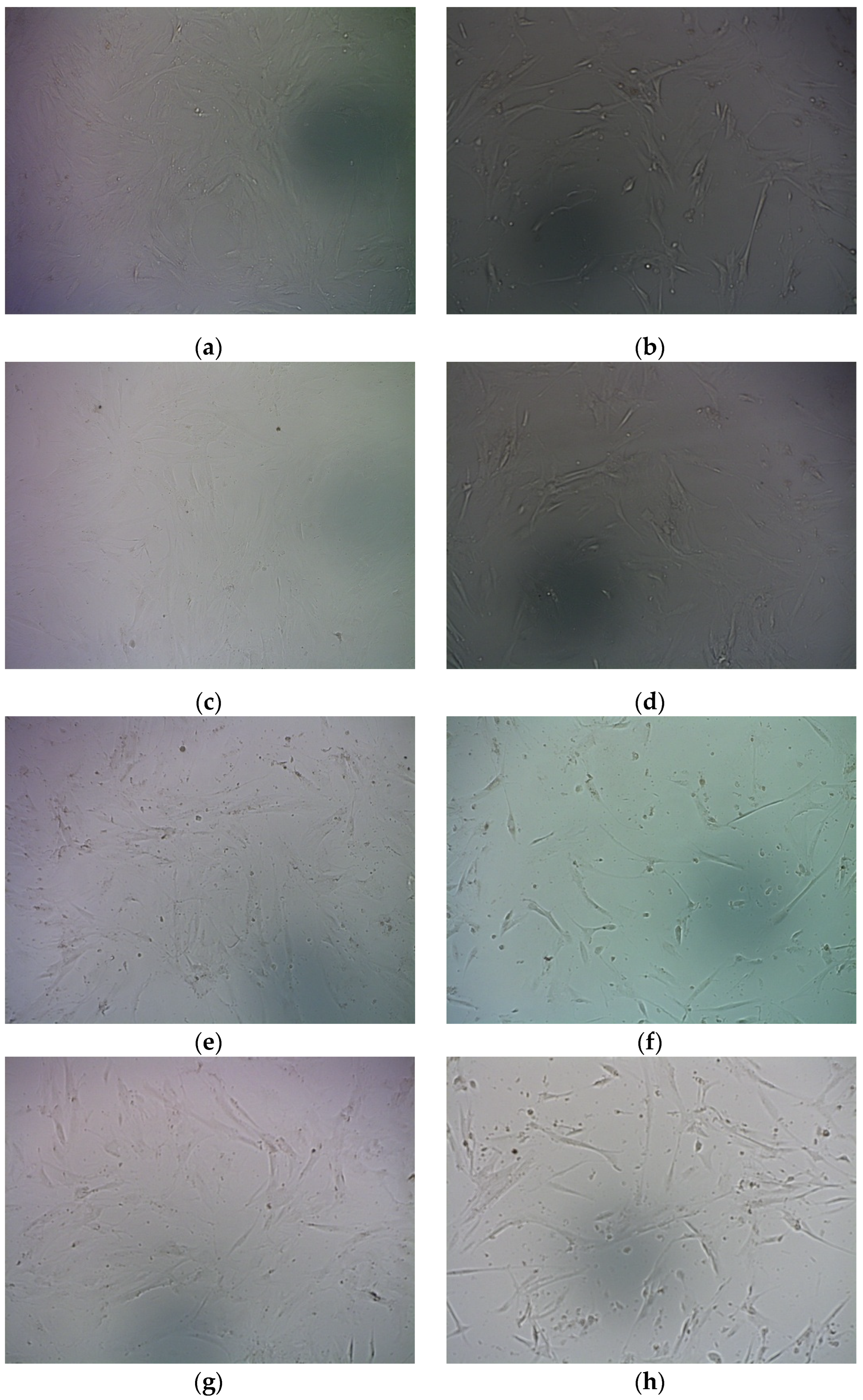 Molecules 27 08363 g010a Molecules 27 08363 g010a