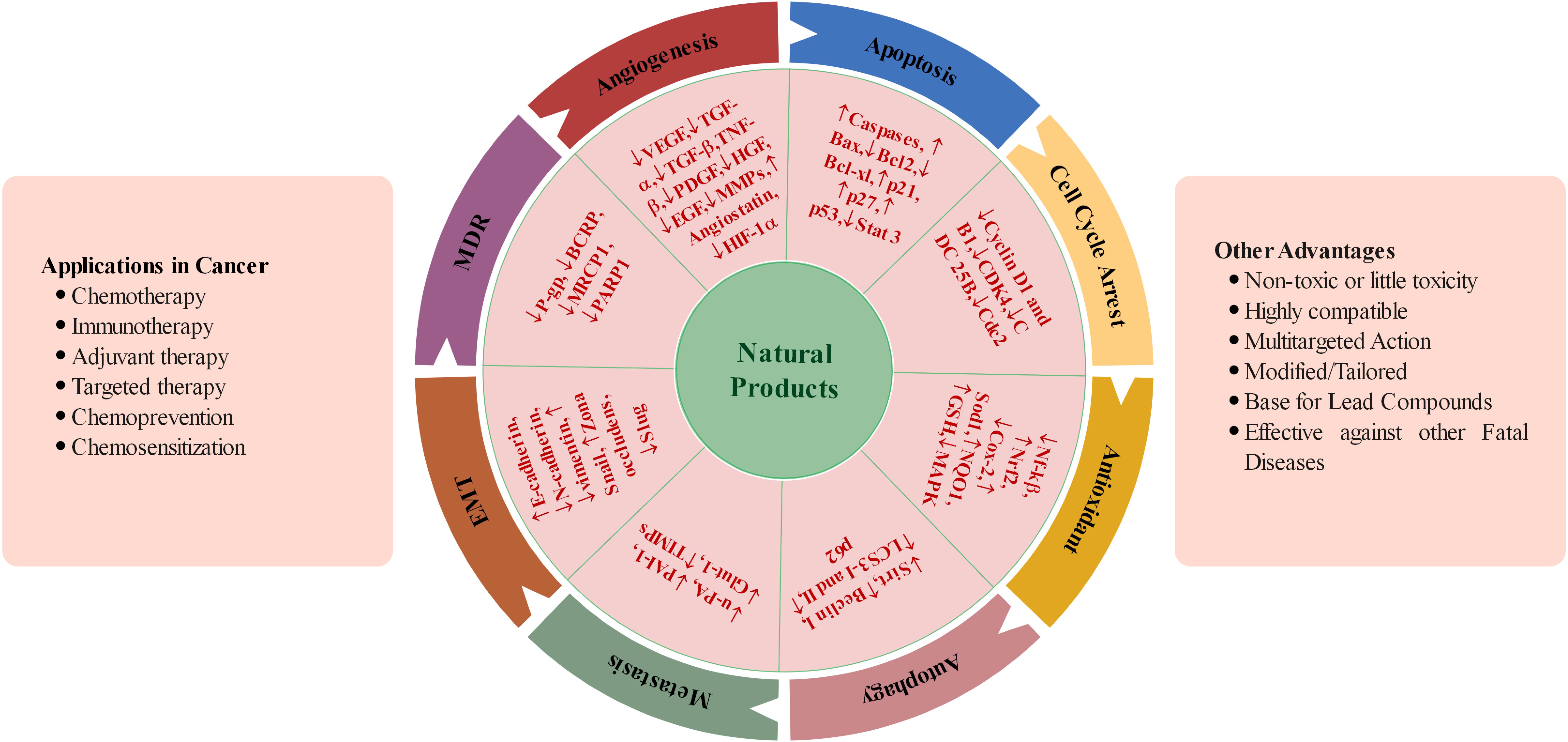 Molecules | Free Full-Text | Natural Products as Anticancer Agents: Current  Status and Future Perspectives