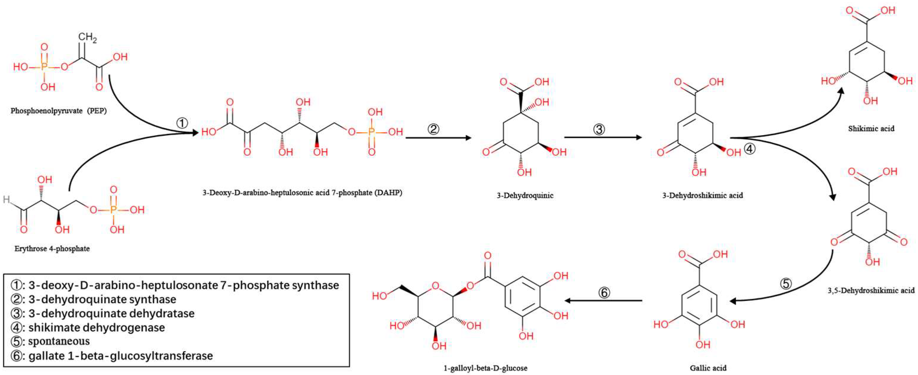 Molecules 27 08374 g001 Molecules 27 08374 g001