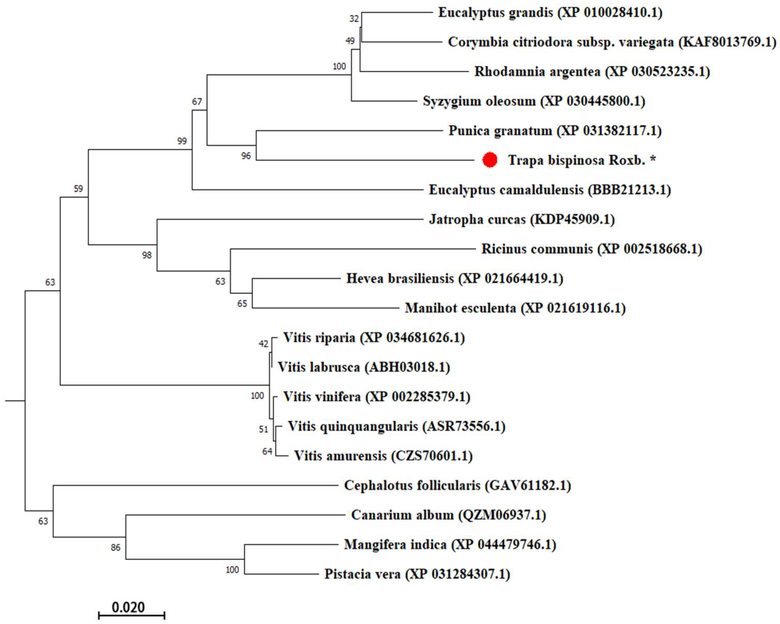 Molecules 27 08374 g006 Molecules 27 08374 g006