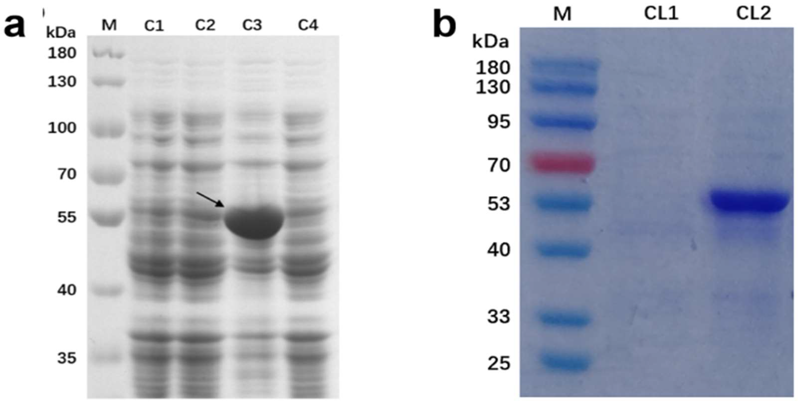 Molecules 27 08374 g007 Molecules 27 08374 g007