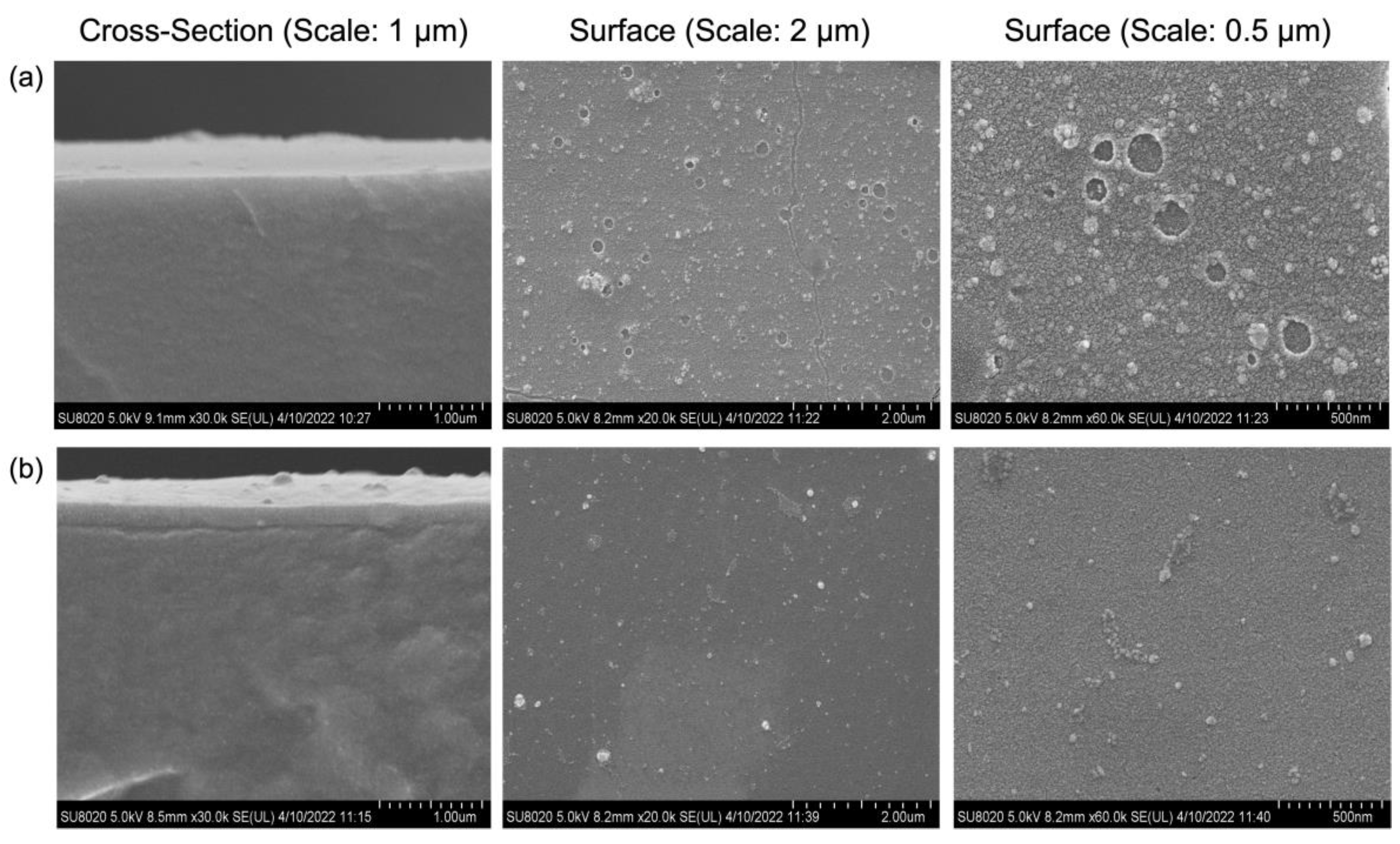 Molecules 27 08381 g005 Molecules 27 08381 g005