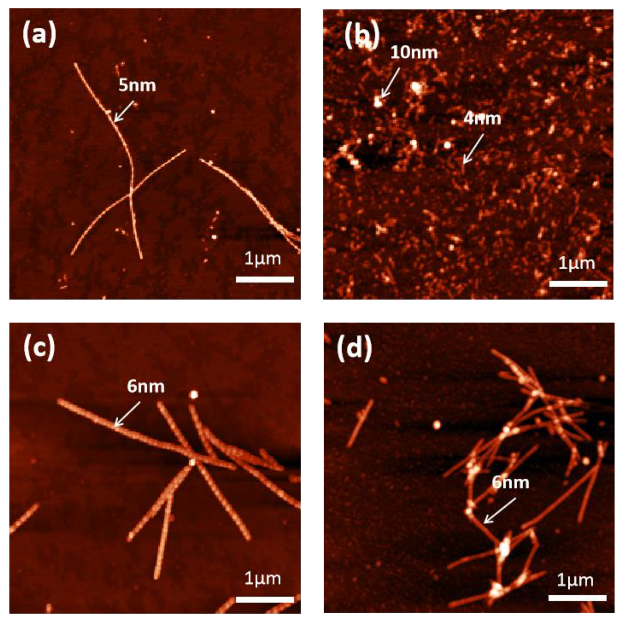 Molecules 27 08383 g005