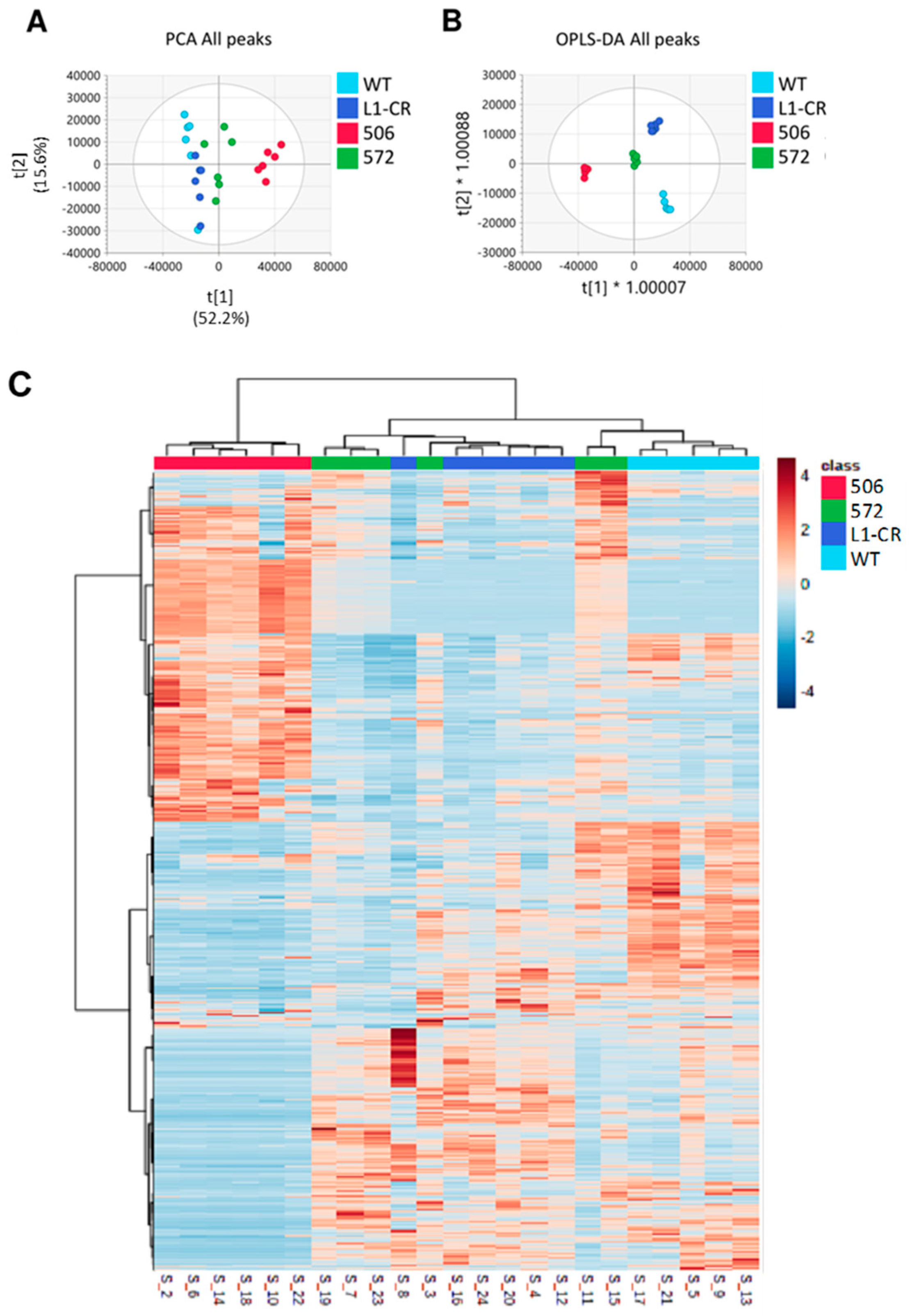 Molecules 27 08394 g003 Molecules 27 08394 g003