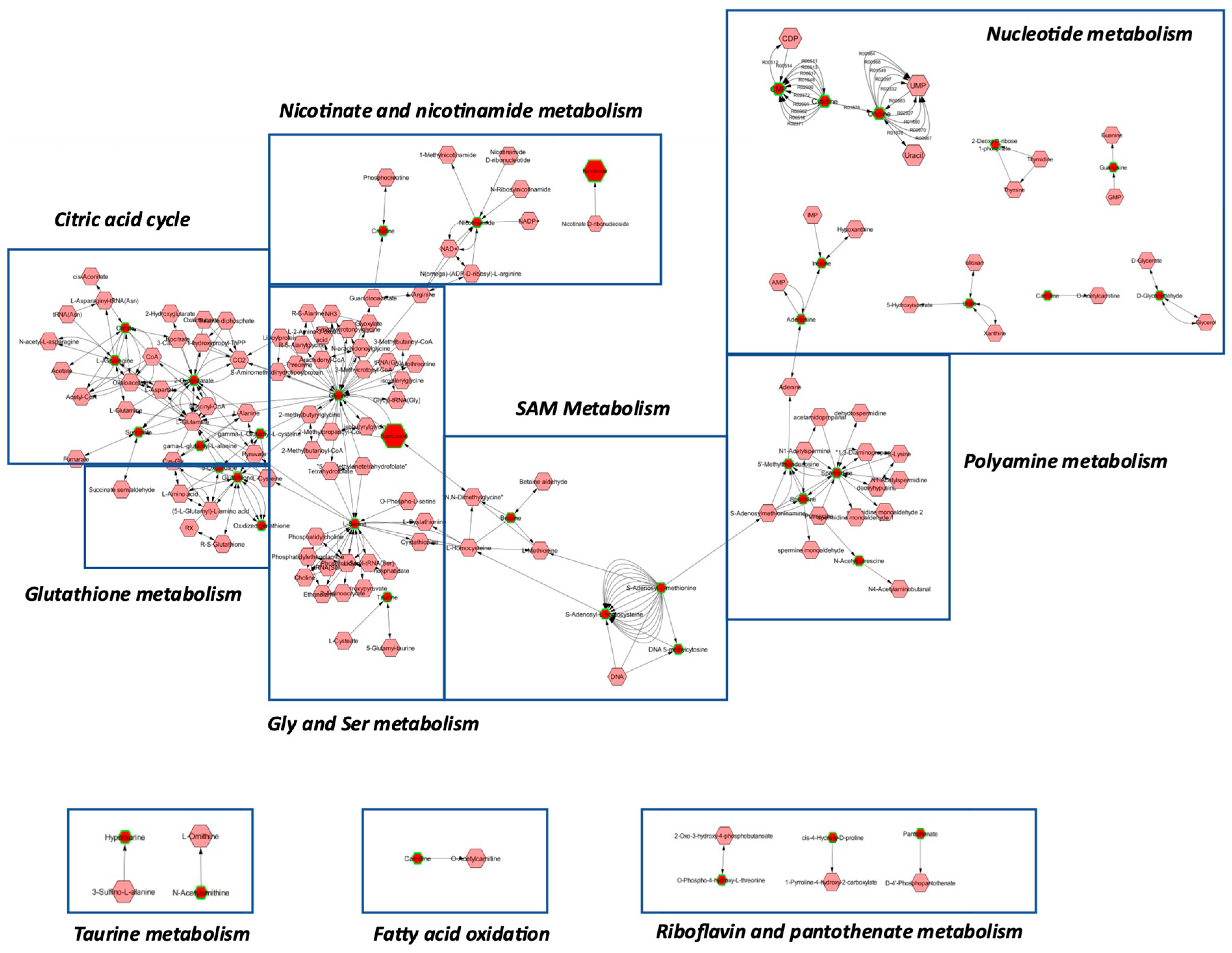 Molecules 27 08394 g007 Molecules 27 08394 g007