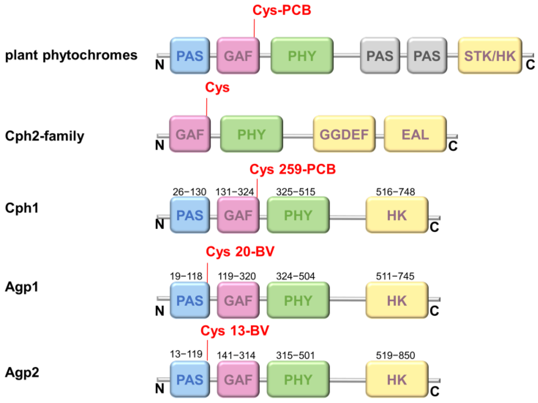 Molecules 27 08395 g001