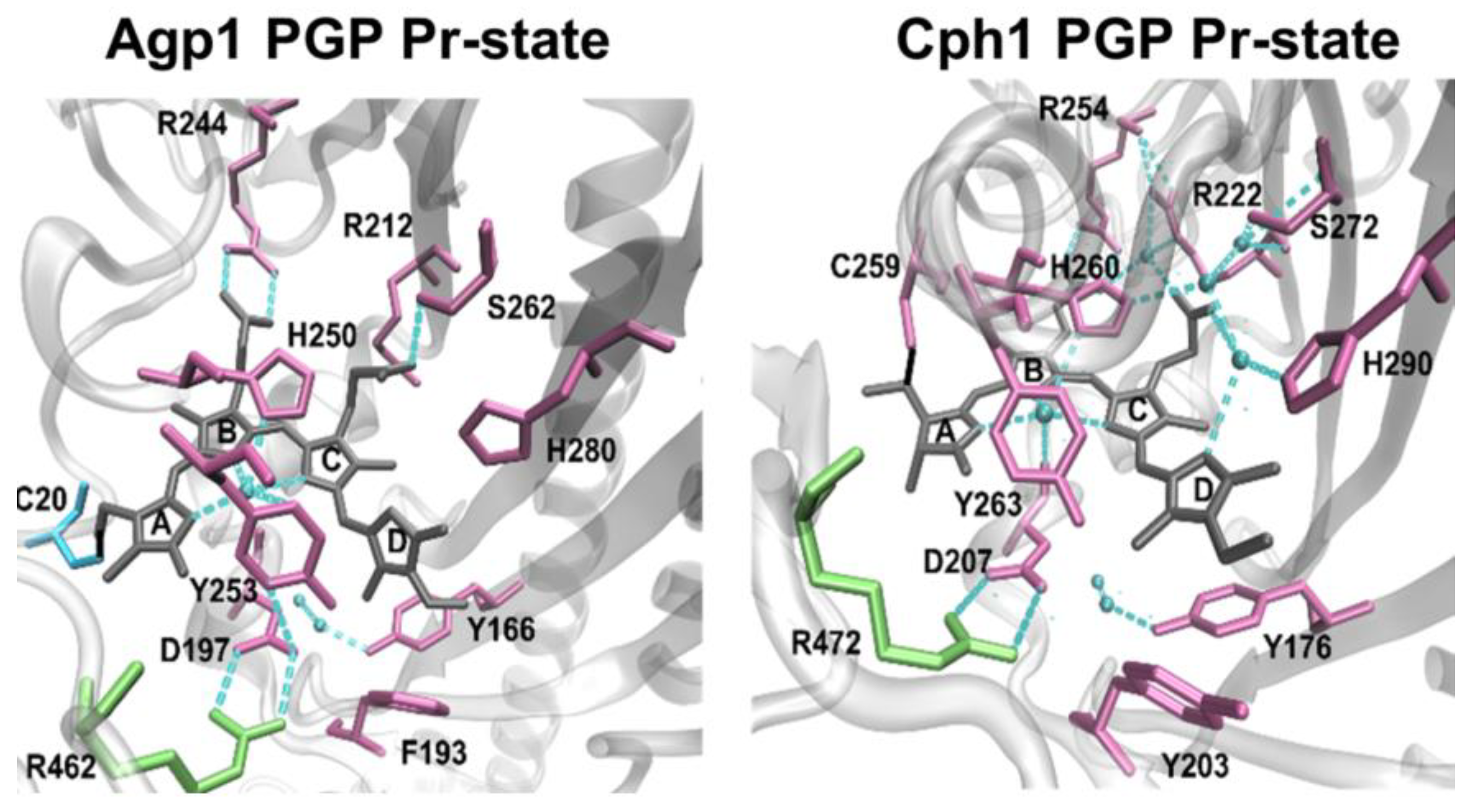Molecules 27 08395 g002