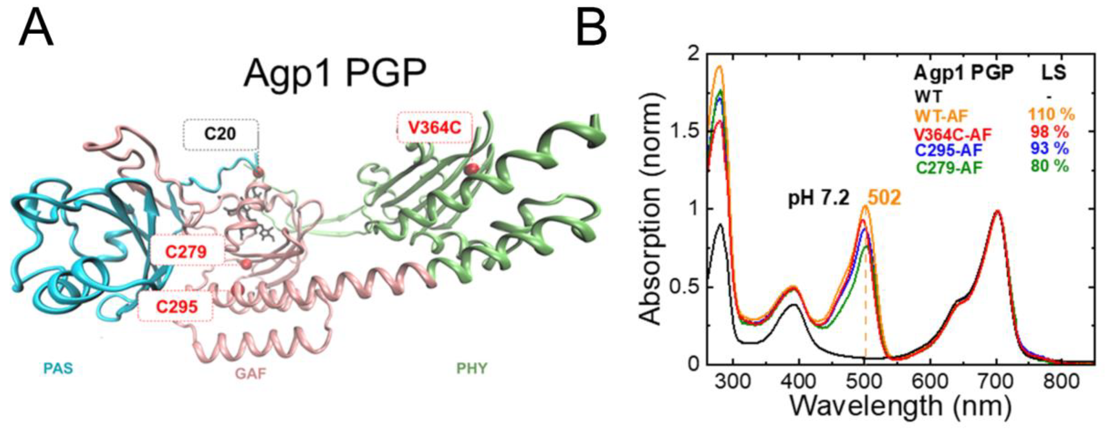 Molecules 27 08395 g003