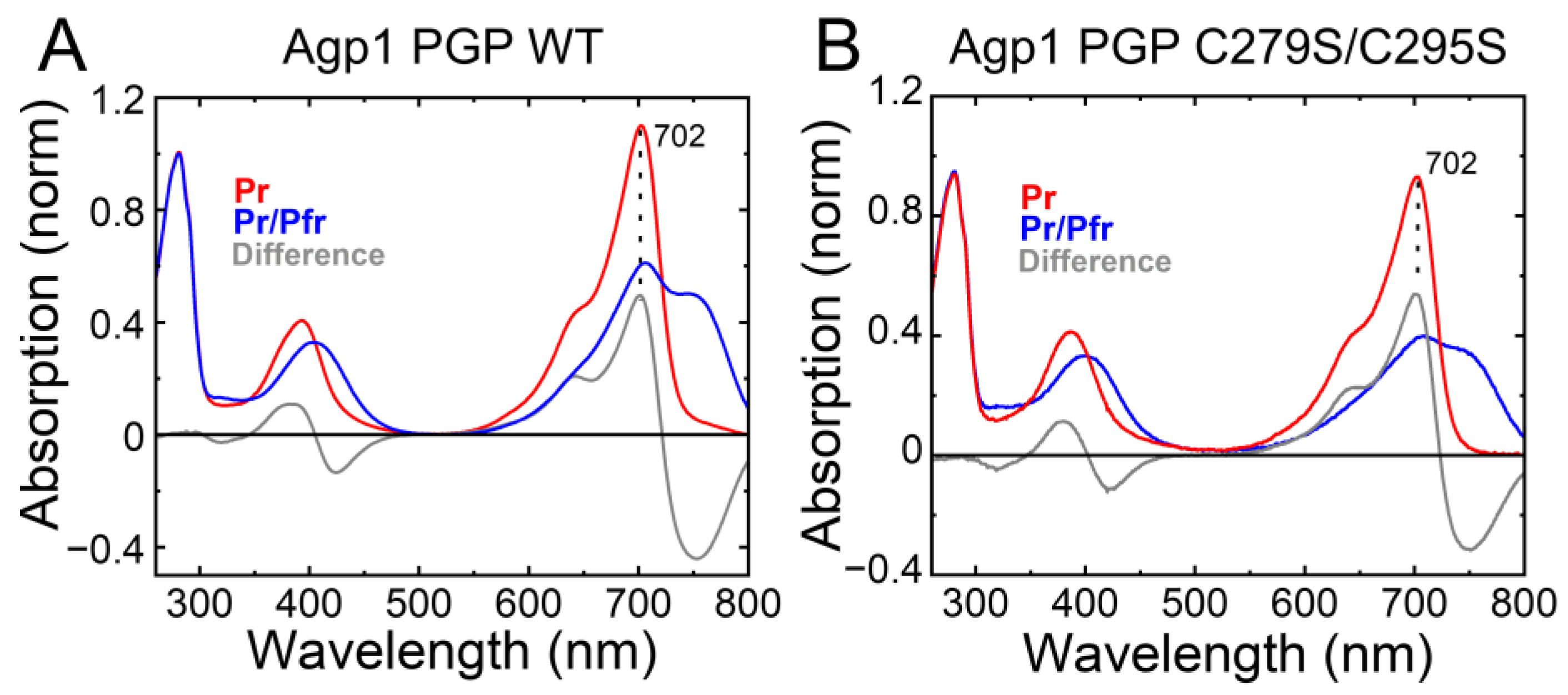 Molecules 27 08395 g004