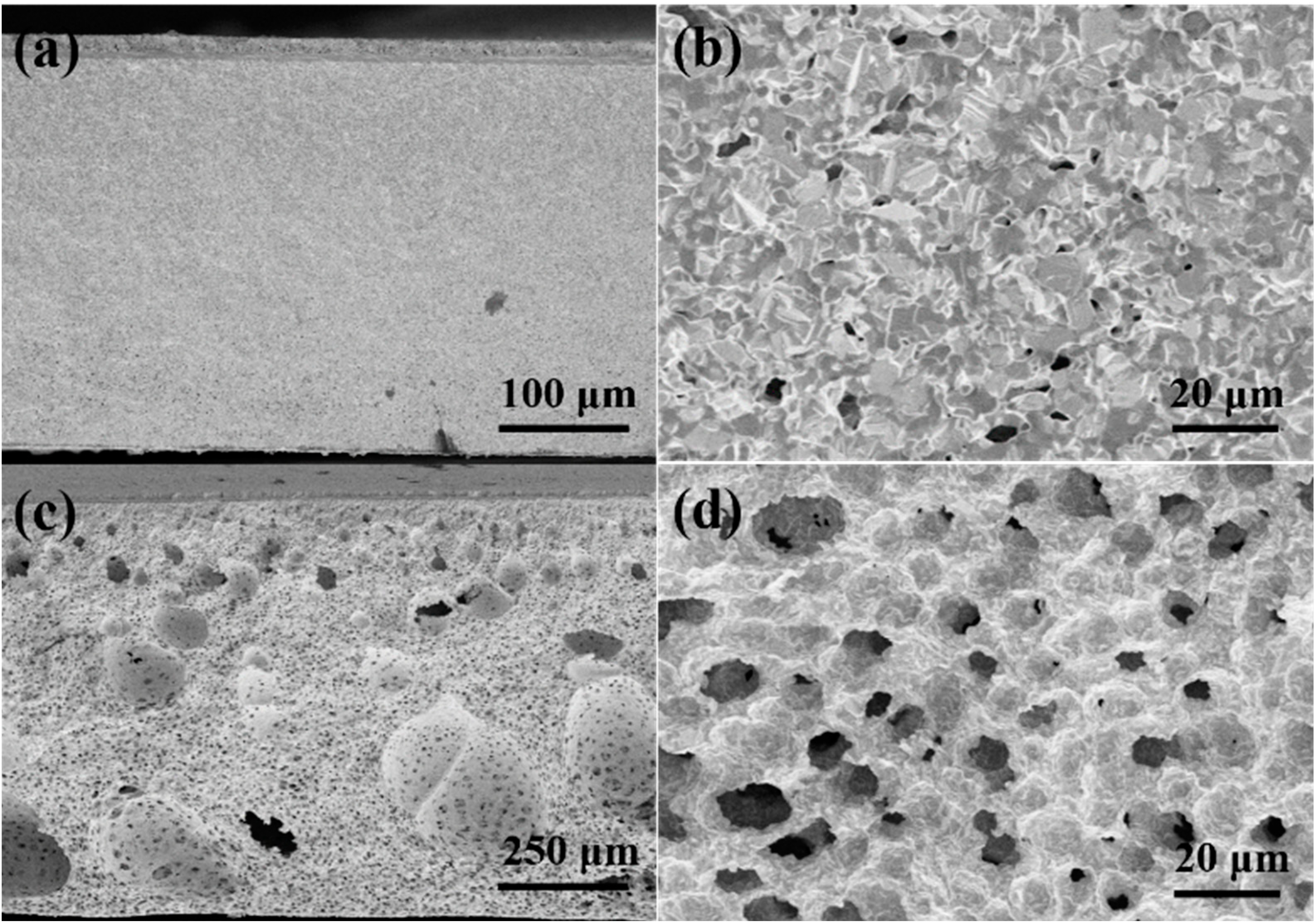 Molecules 27 08396 g001 Molecules 27 08396 g001